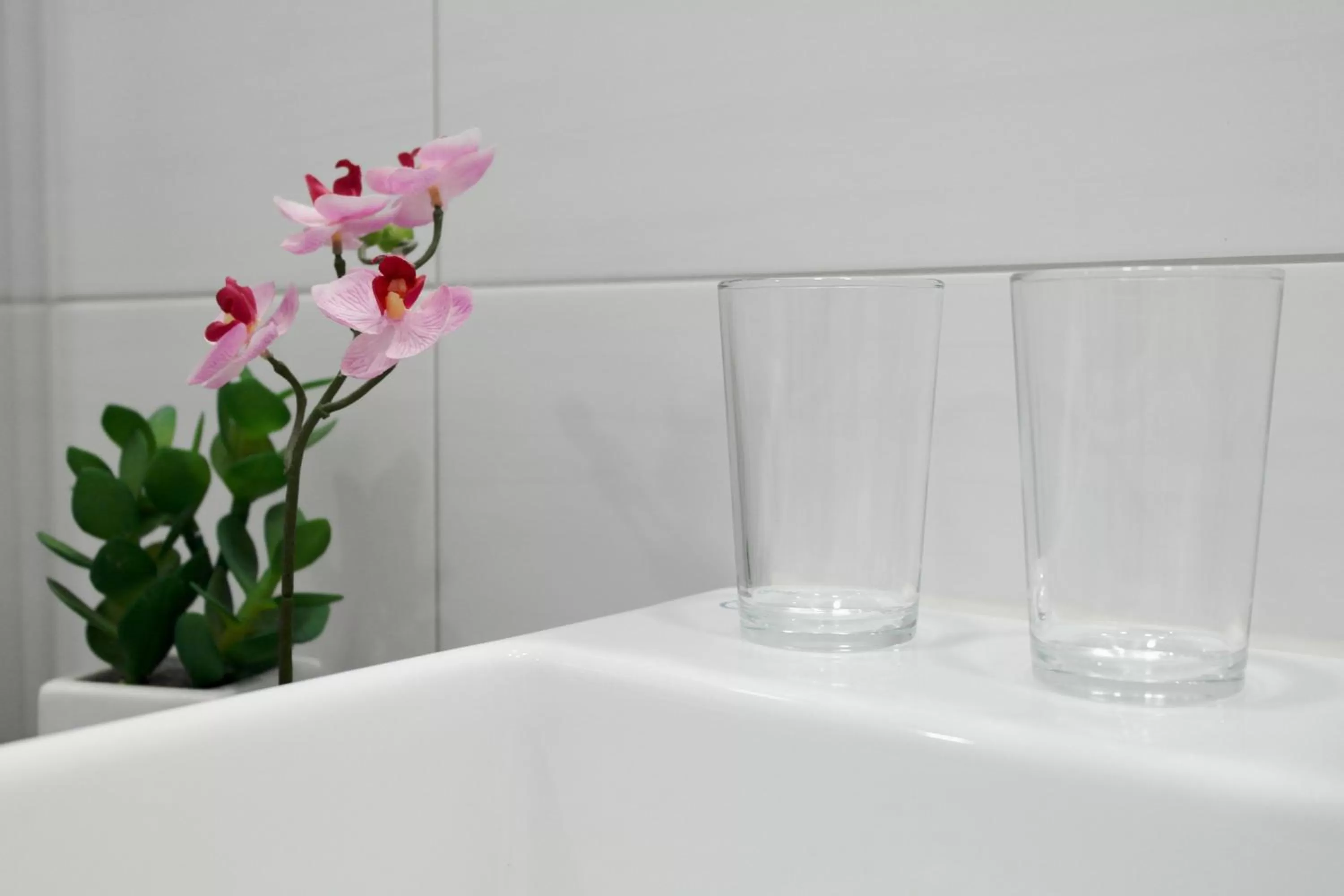 Other in Hotel Blauer Fasan