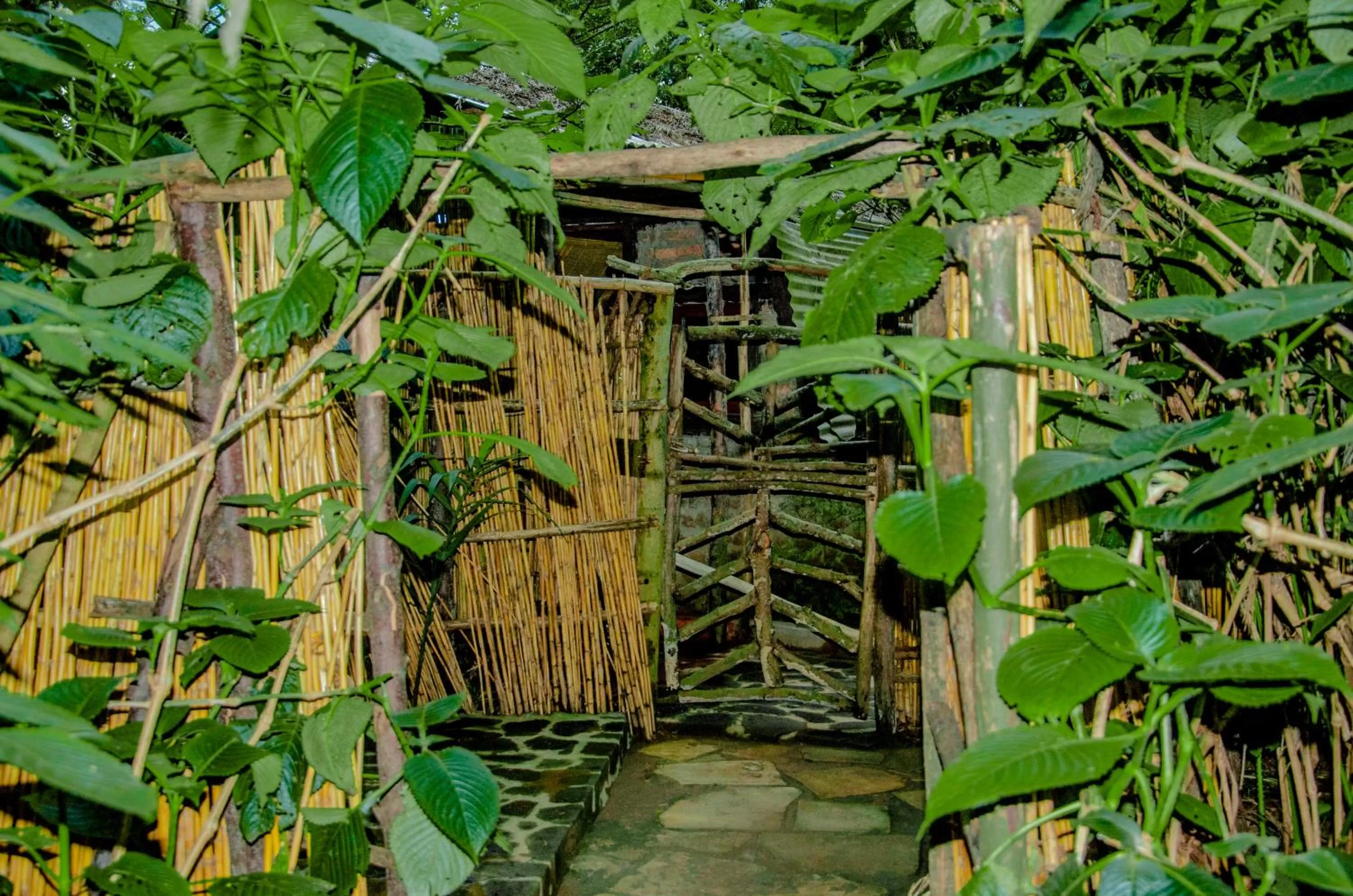 Day in Fravan Eco Resort By Apogee