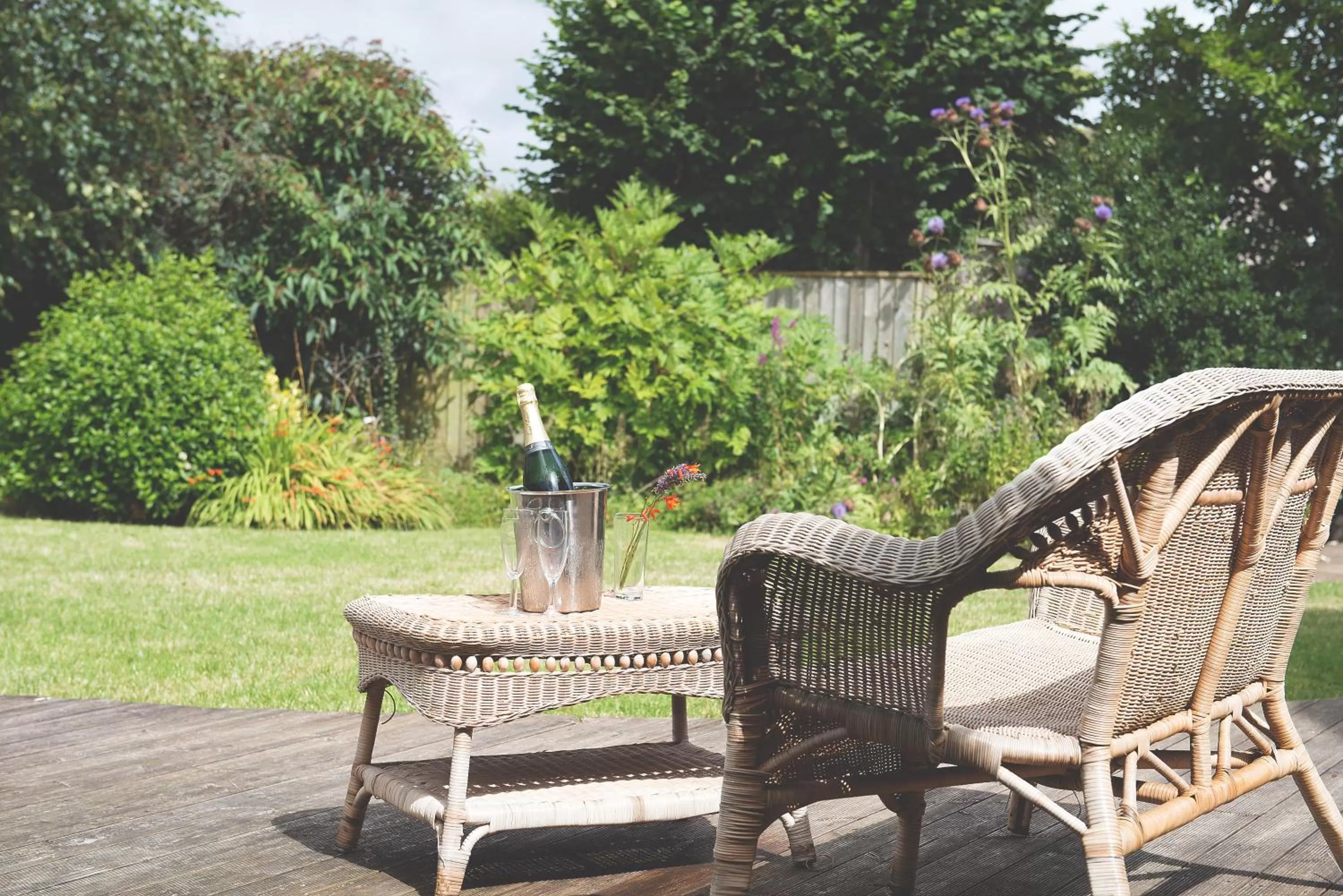 Garden in Rose and Crown Yealmpton