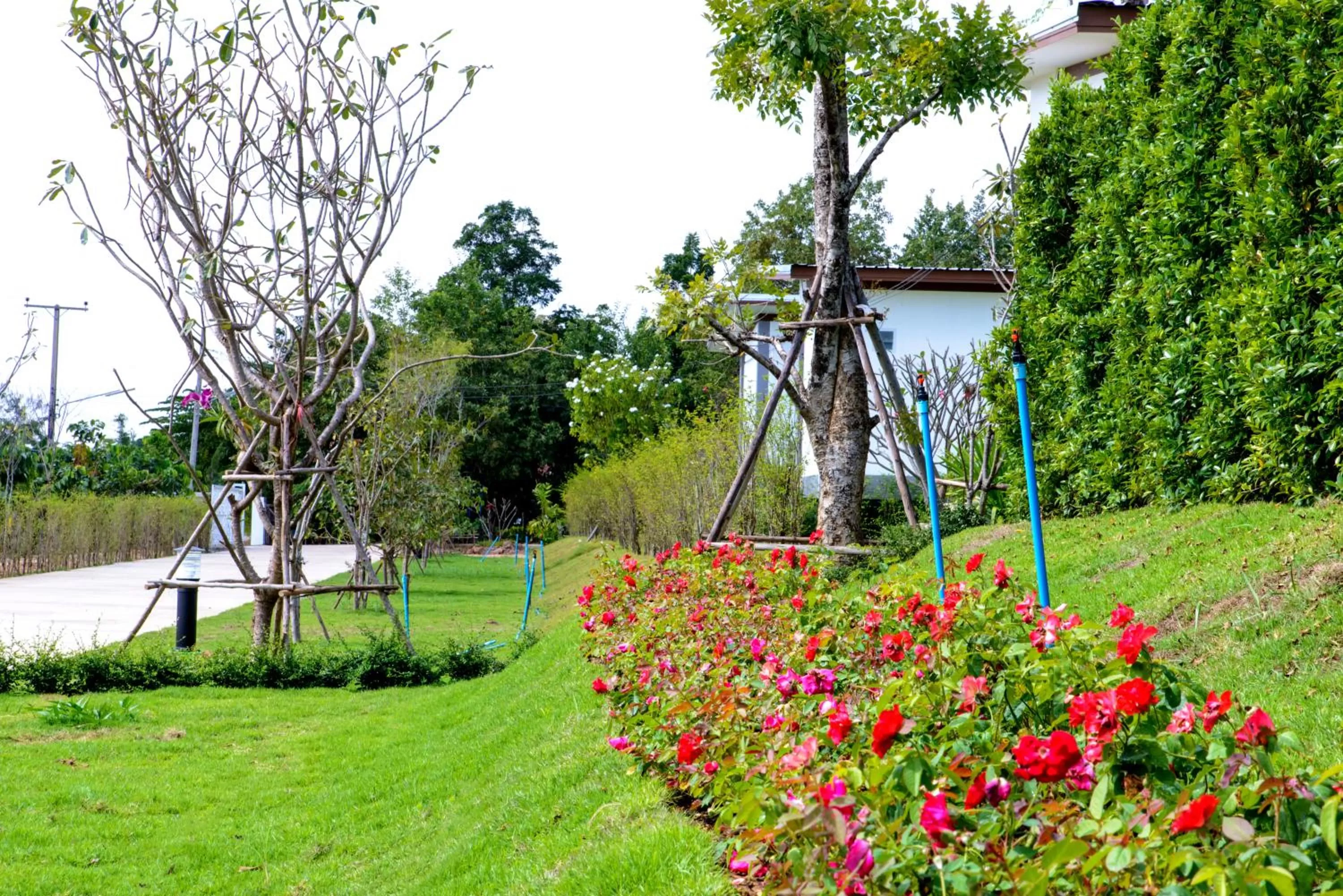 Baan Suan Thanwalai Khon Kaen