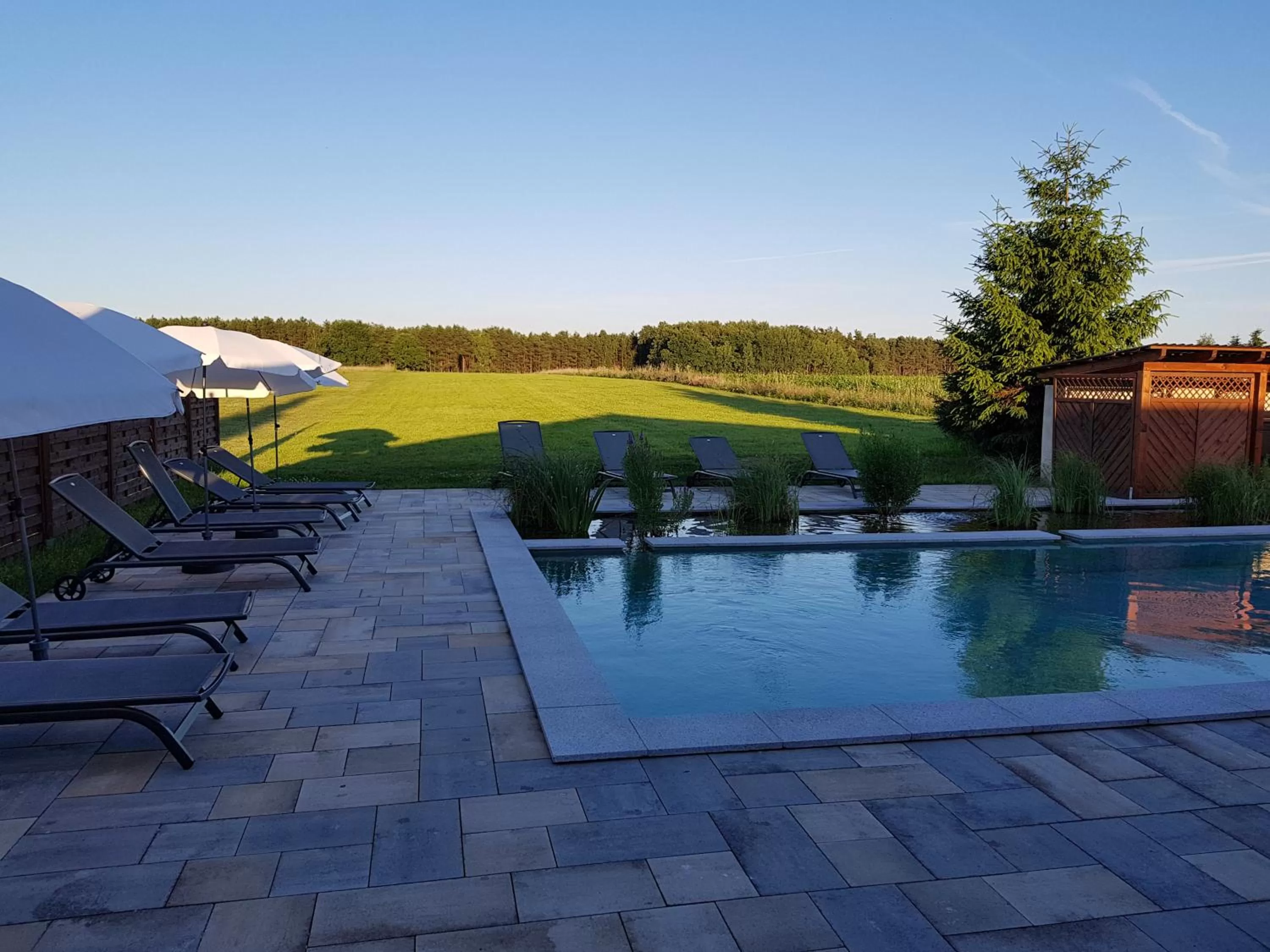 Swimming Pool in Spreewaldhof Romantik - Hotel Garni