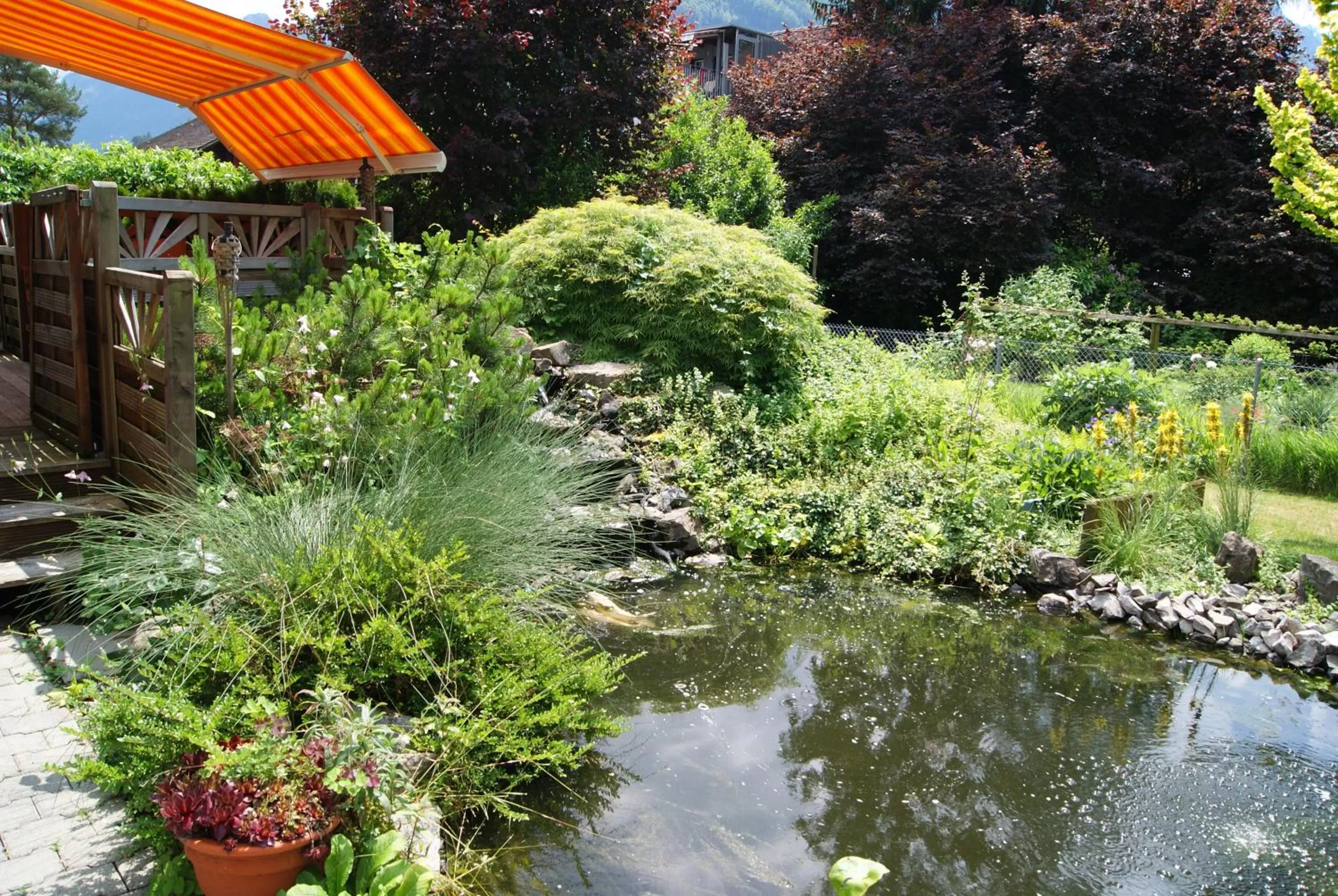 Garden in Adventure Guesthouse Interlaken
