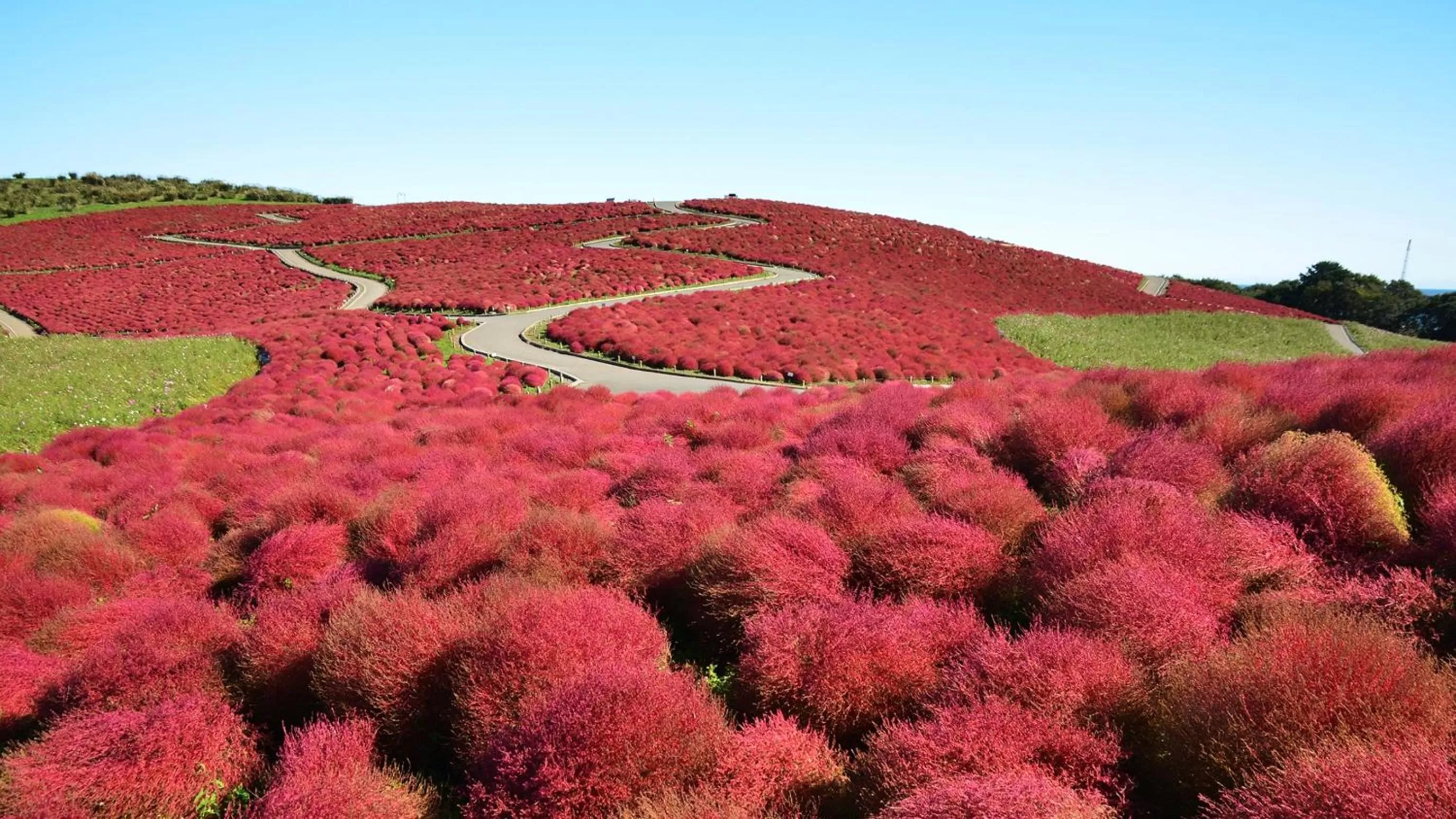 Nearby landmark in JR-East Hotel Mets Mito