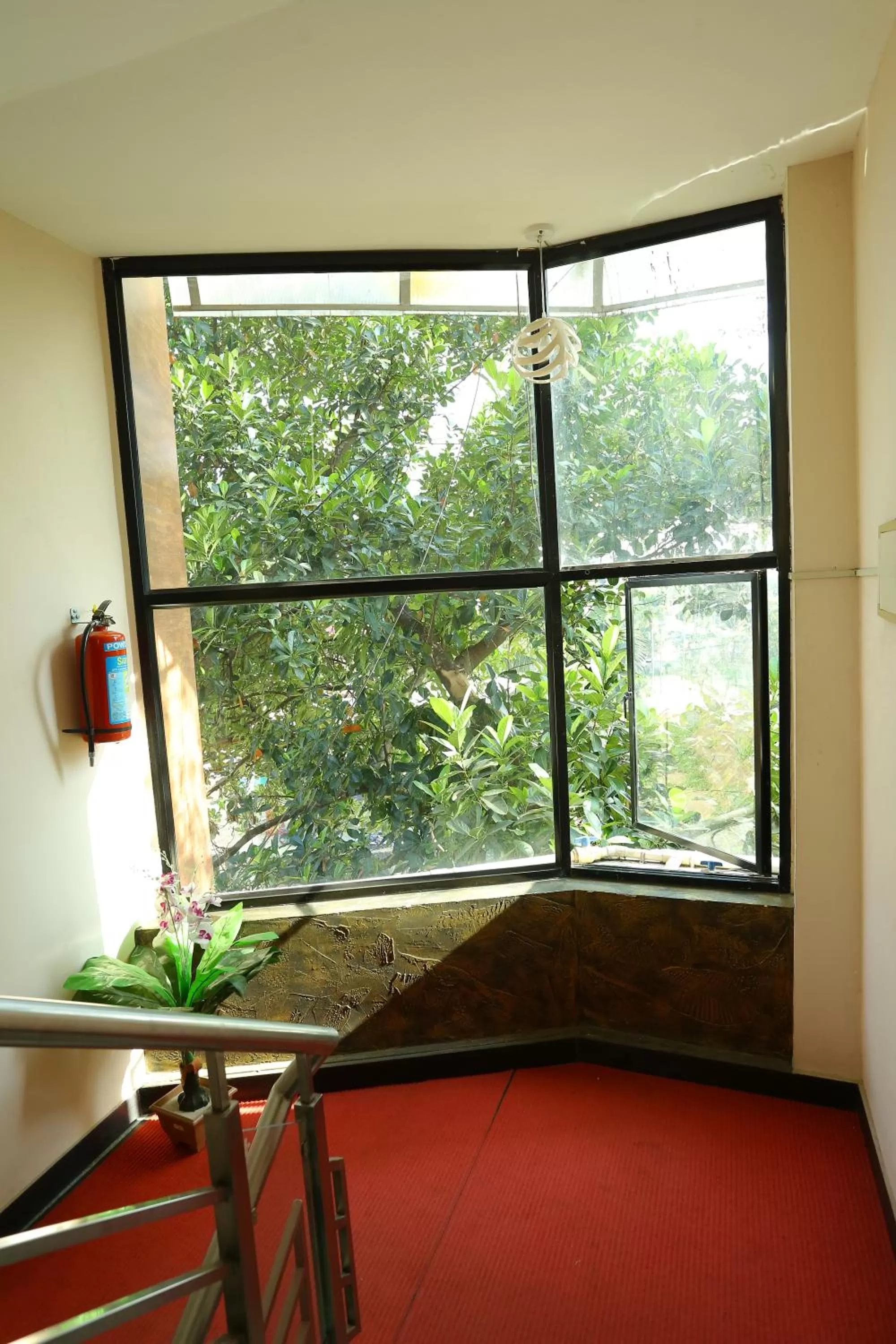 Garden view in Hotel Innate Inn