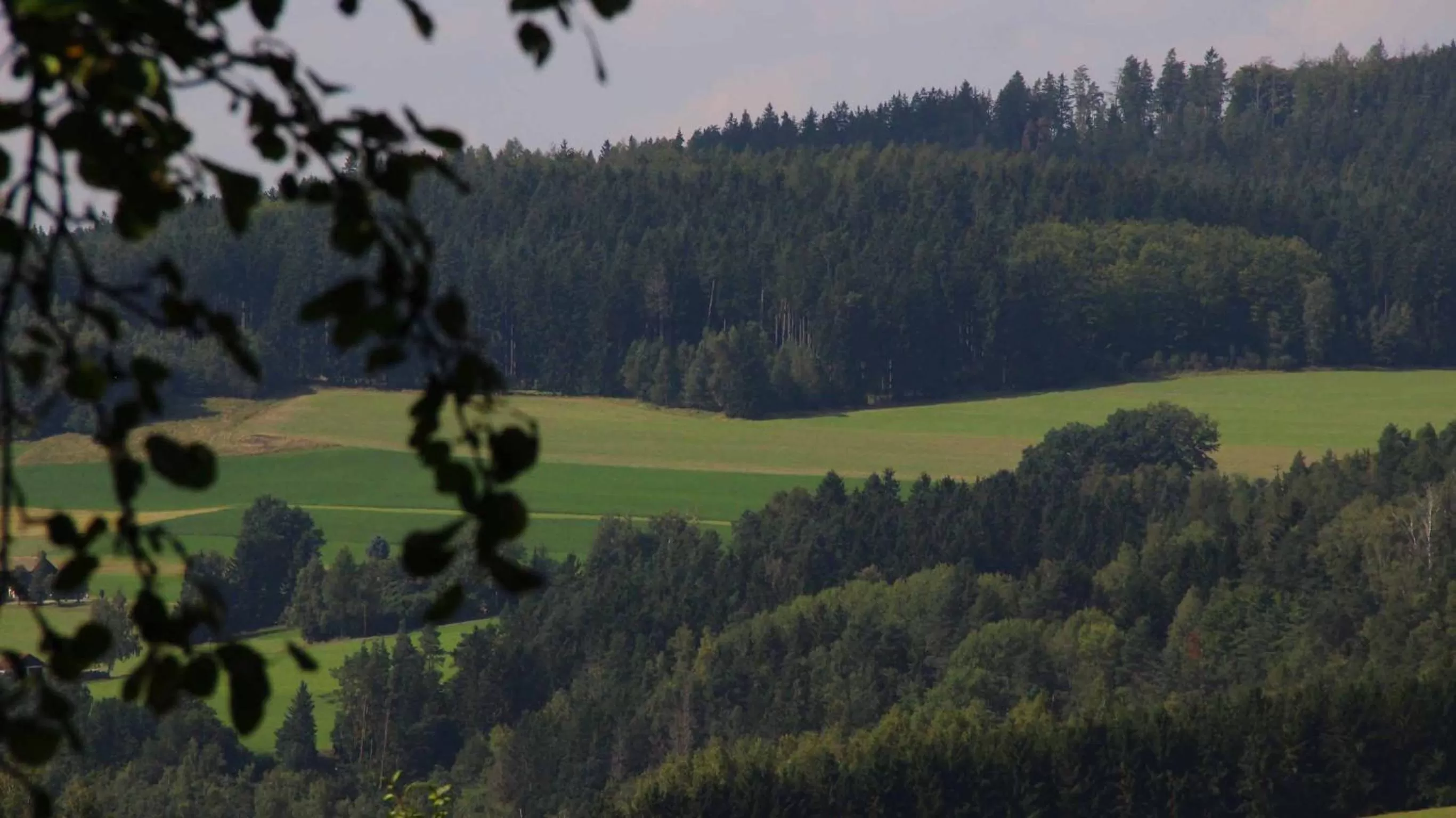 Natural landscape in Hotel Gasthof Zum weissen Lamm