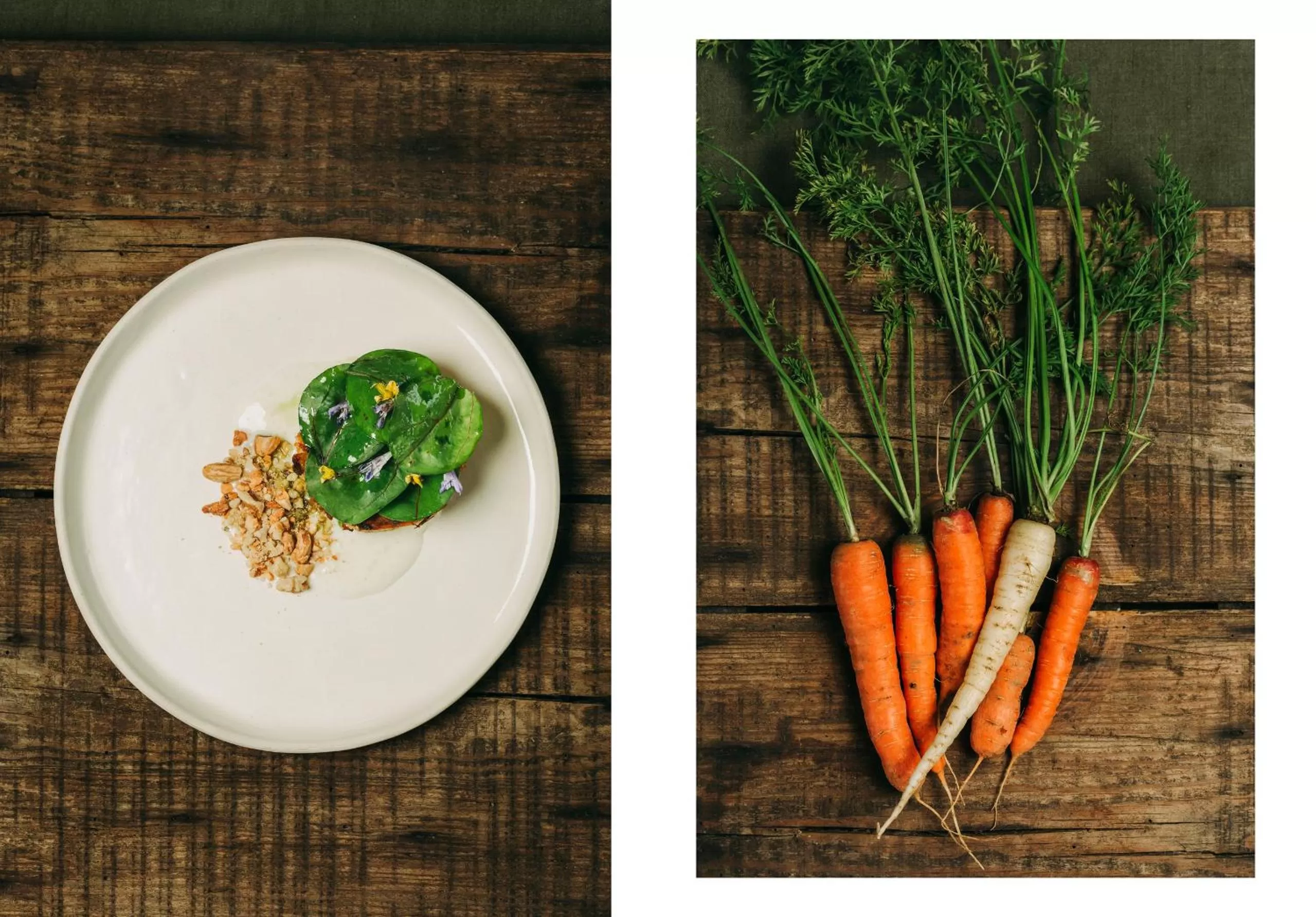 Food and drinks in Santa Barbara Eco-Beach Resort