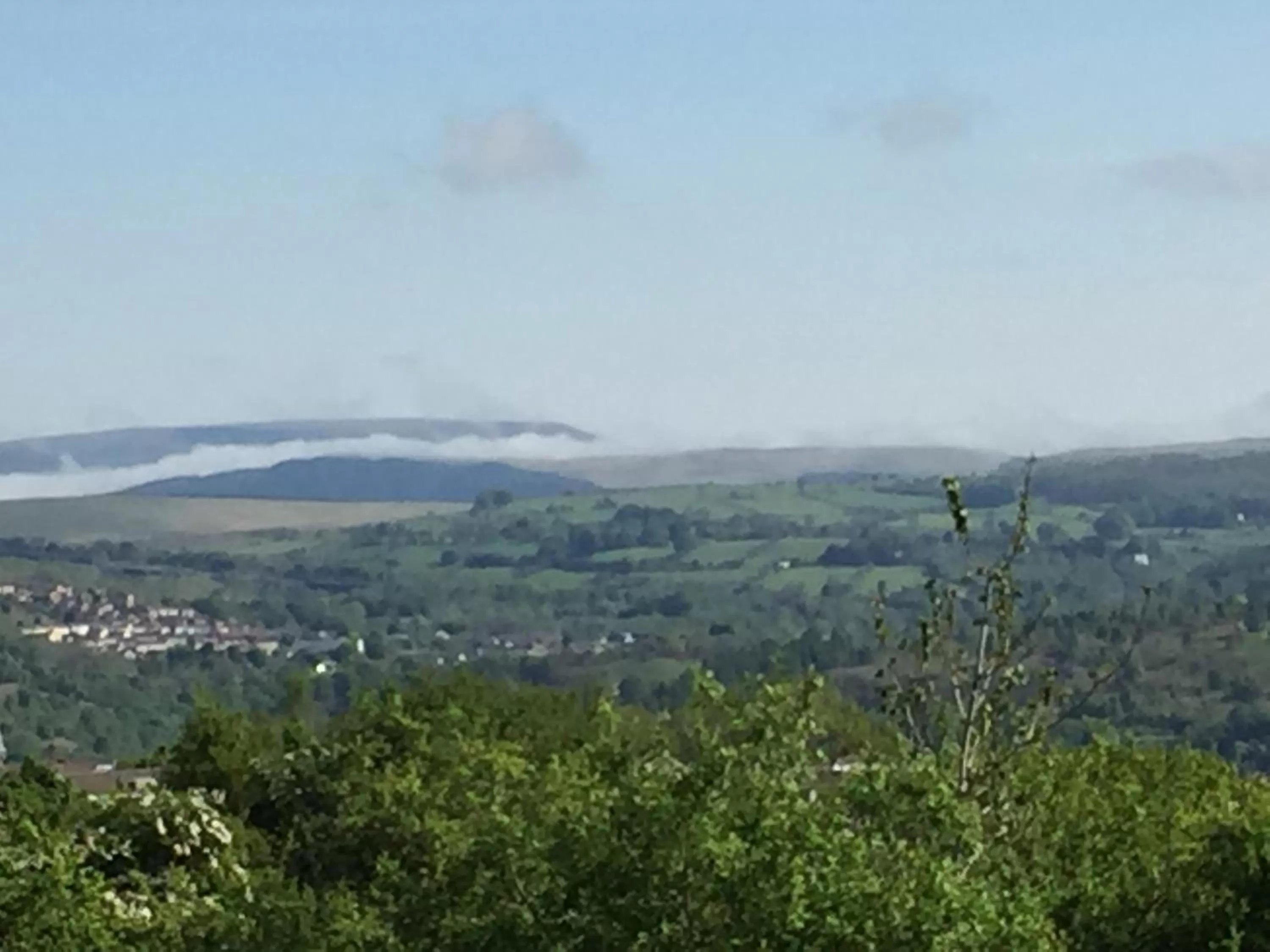 Property building in The Shed