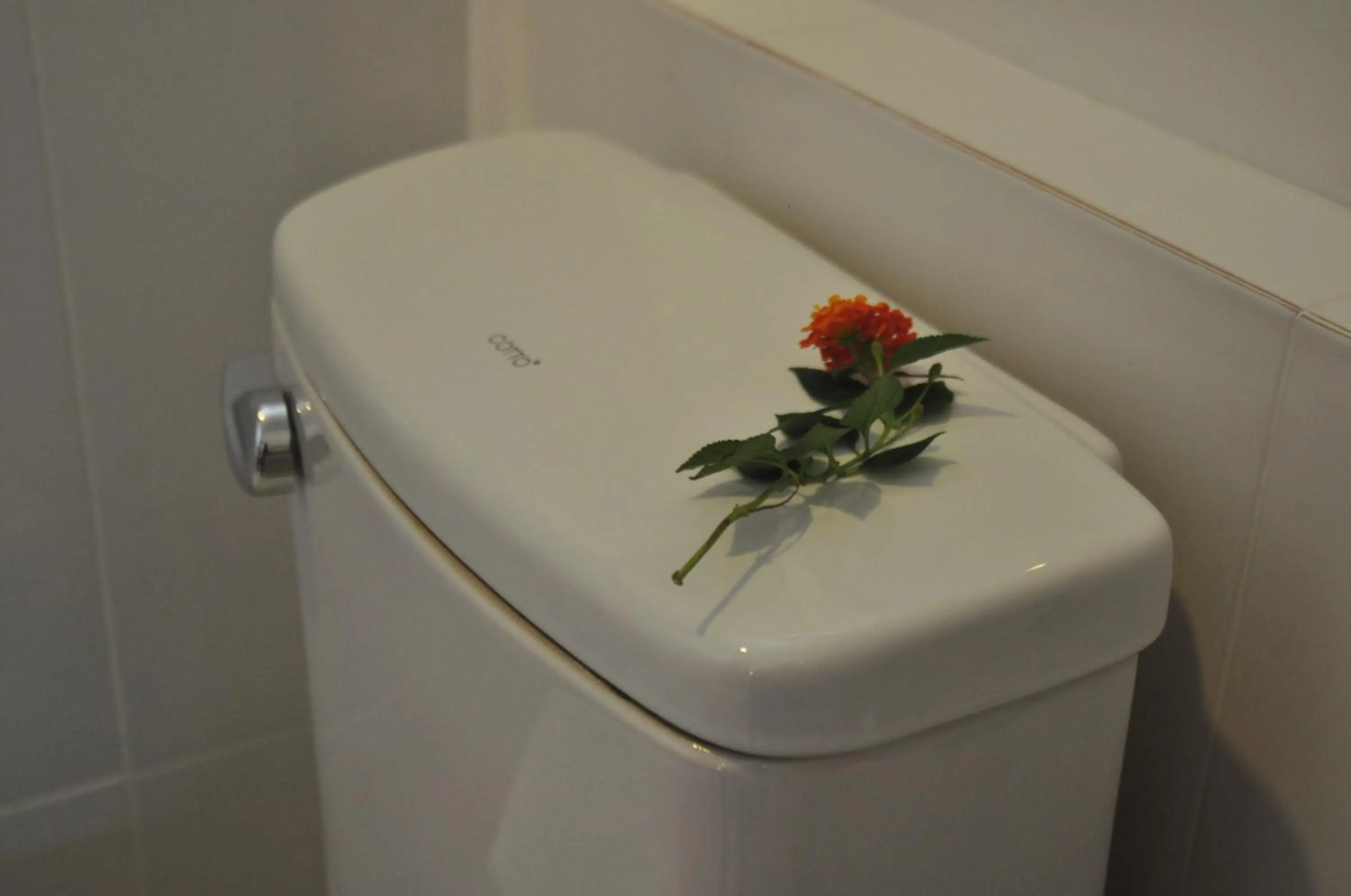 Tamarind Twin Resort