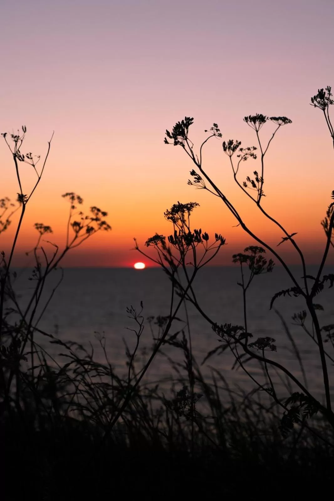 Sunset in Brise du Large - Maison d'Ault