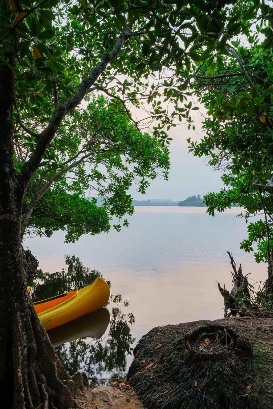 Lake view in Kiss Blossom