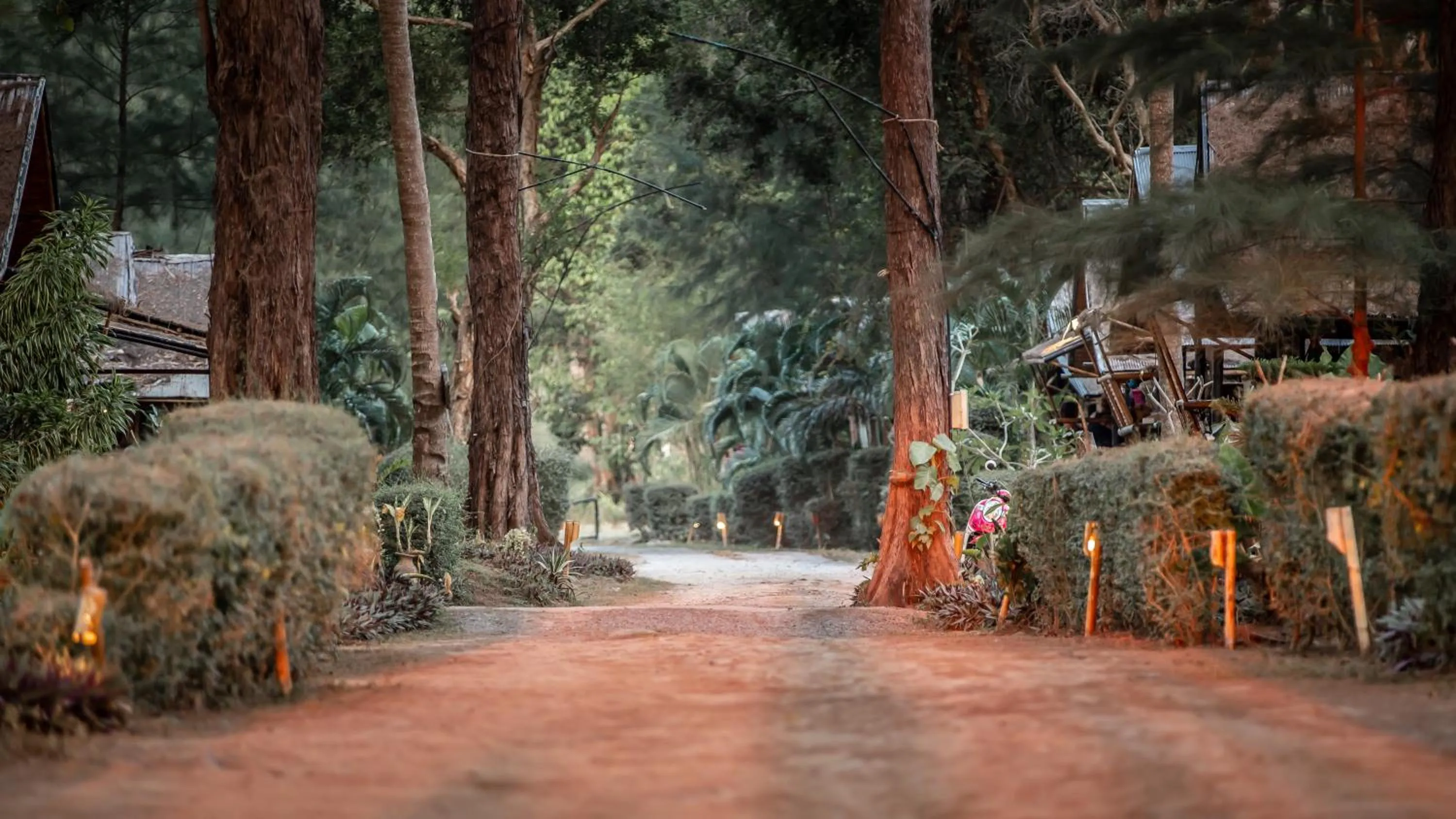 Garden in Eco Lanta Hideaway Beach Resort