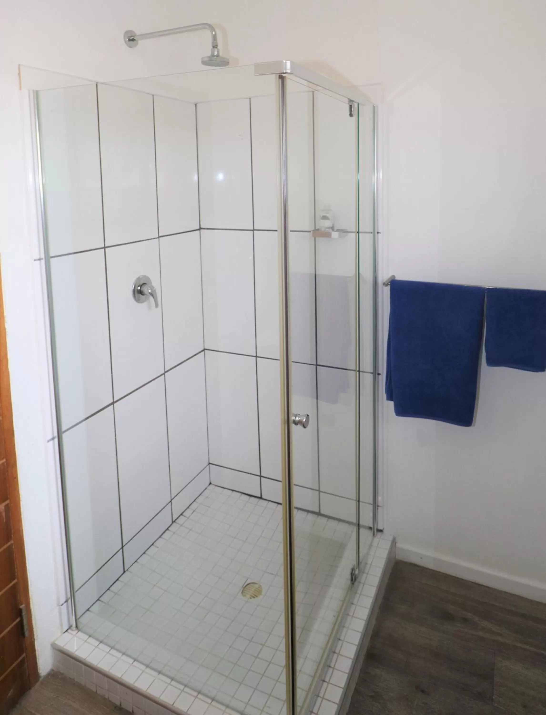 Shower in Tiende Laan Bed & Breakfast and Self-Catering