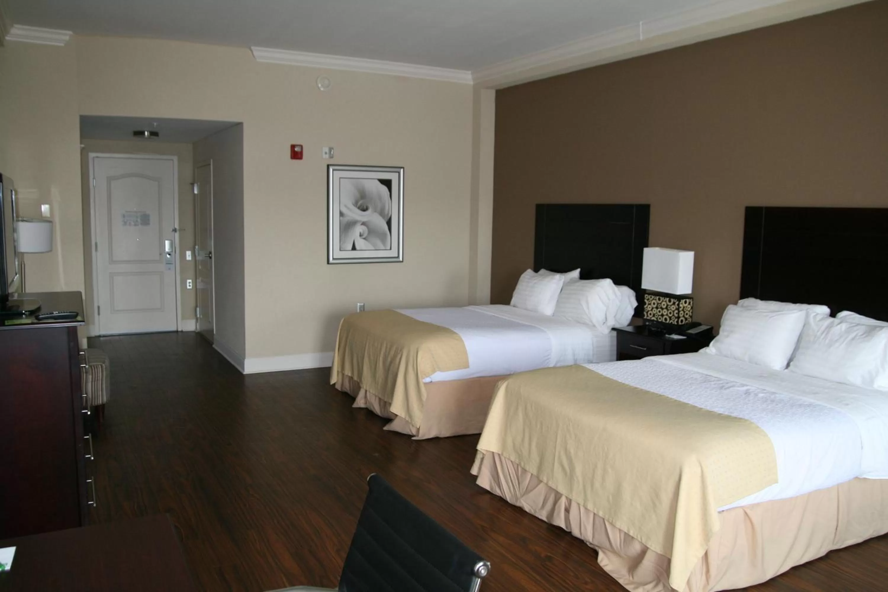 Queen Room with Bath Tub - Disability Access/Non-Smoking  in Holiday Inn Macon North, an IHG Hotel