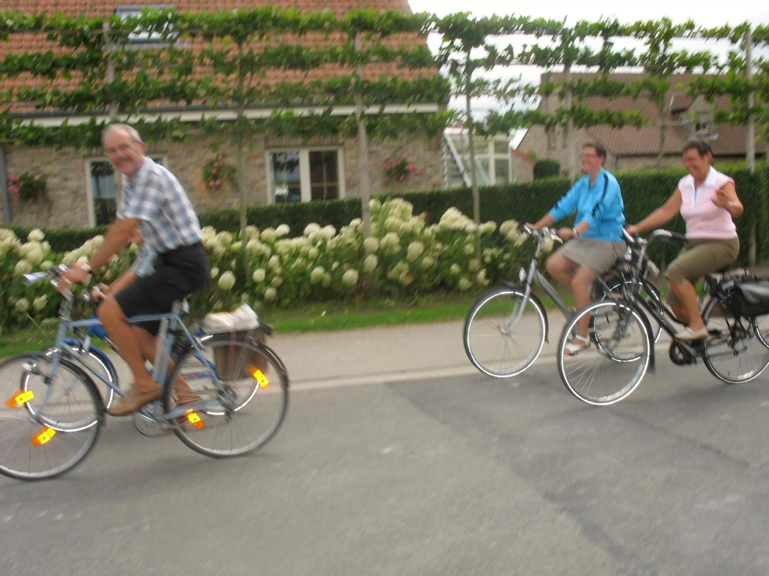 Biking in B&B Greenhouse 37