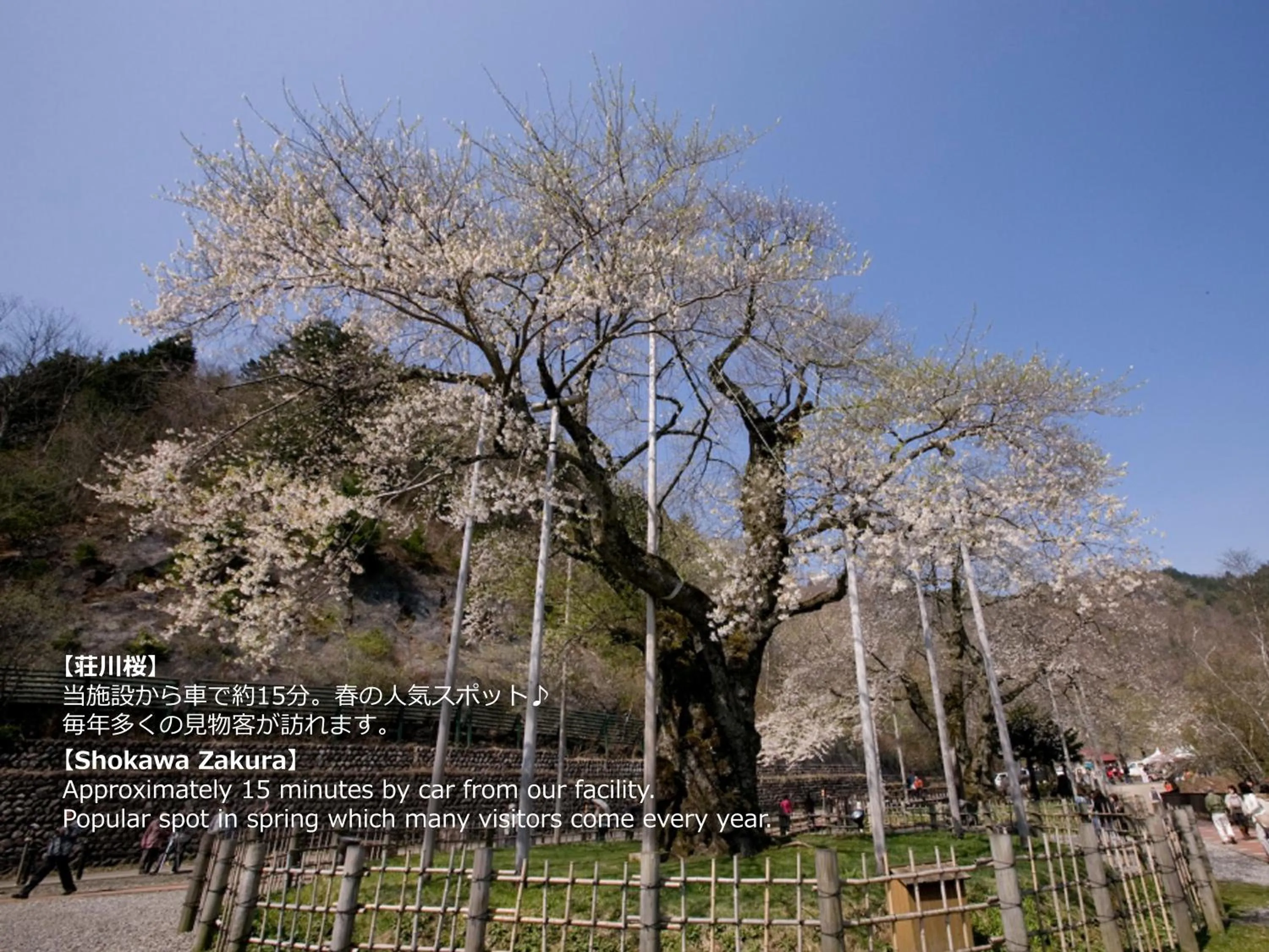 Natural landscape in Resort Villa Takayama