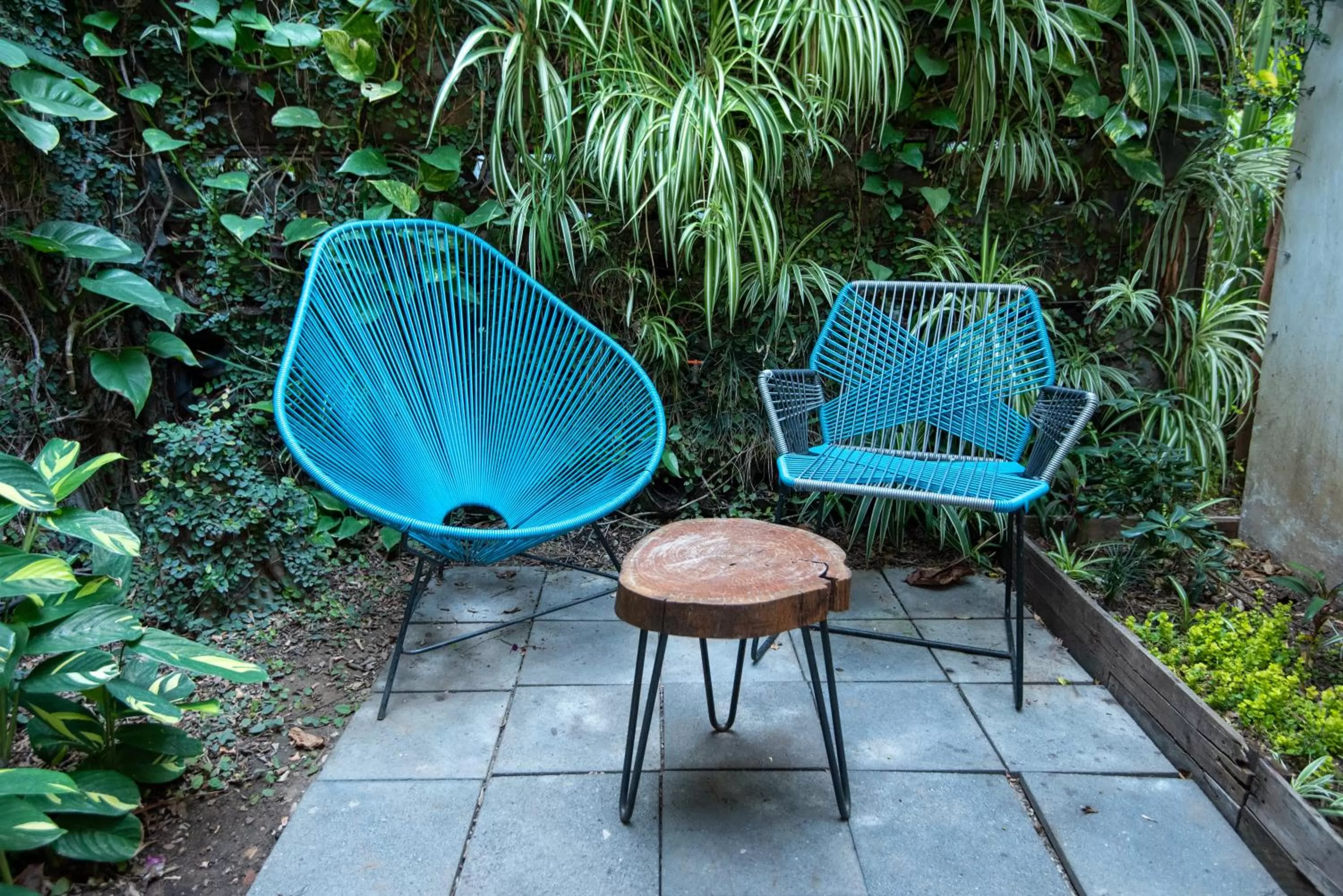 Nardazul "Casa de Sueños"