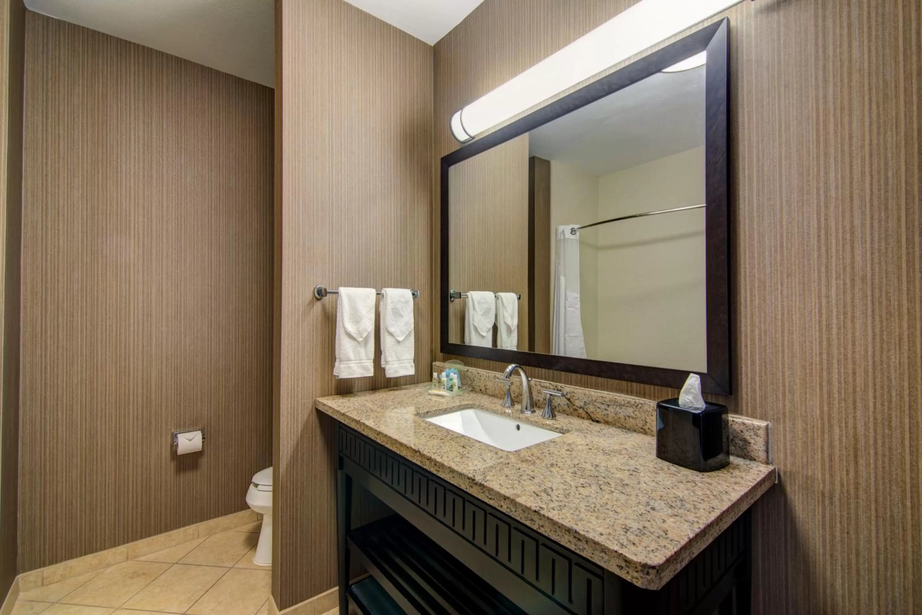 Bathroom in Holiday Inn Arlington Northeast by IHG