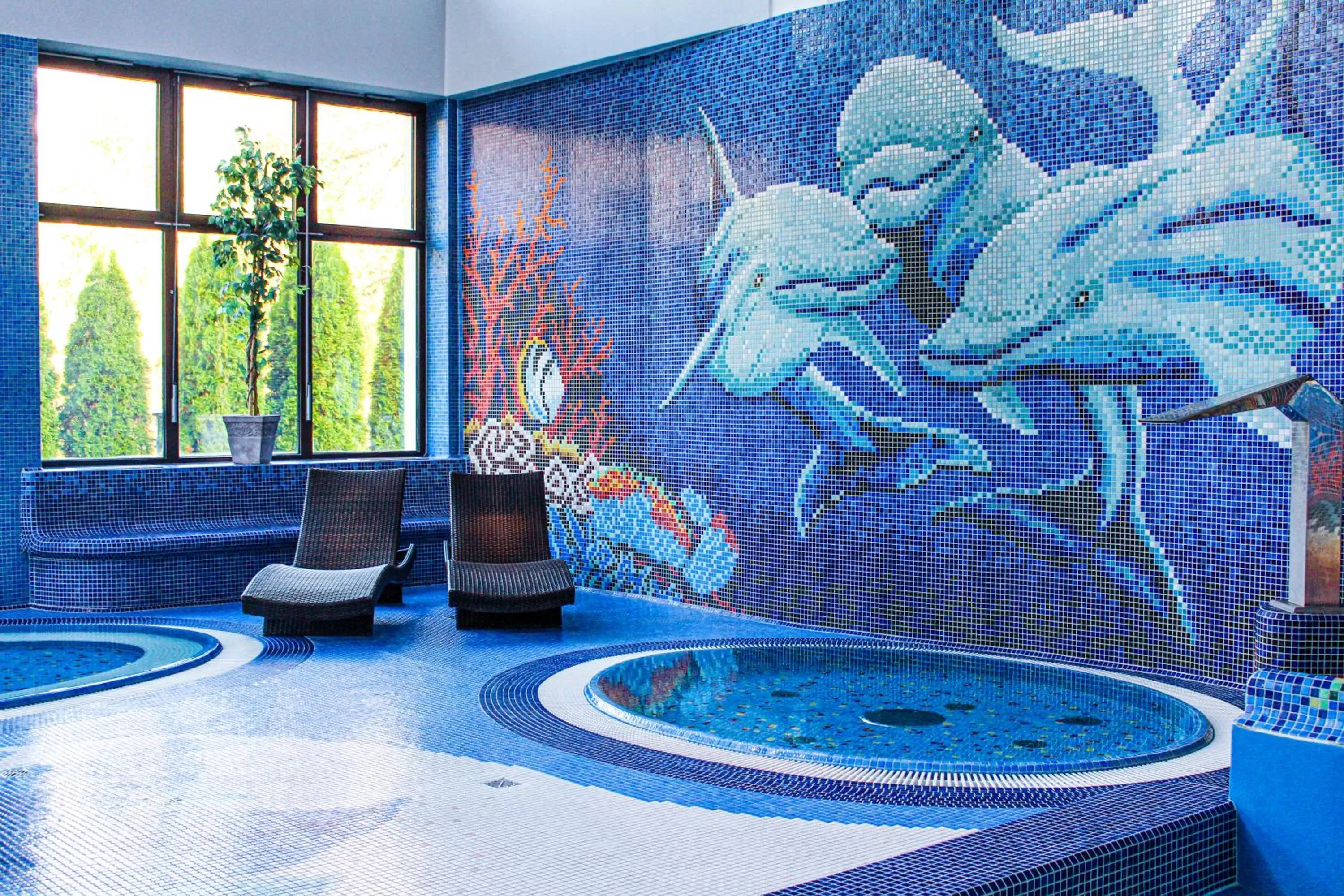 Swimming pool in Hotel Klimek Spa