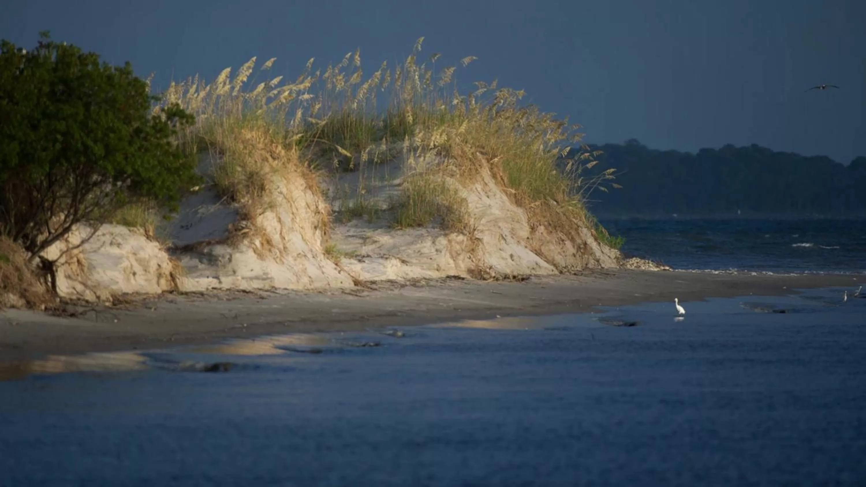 Area and facilities in Holiday Inn Resort Jekyll Island by IHG