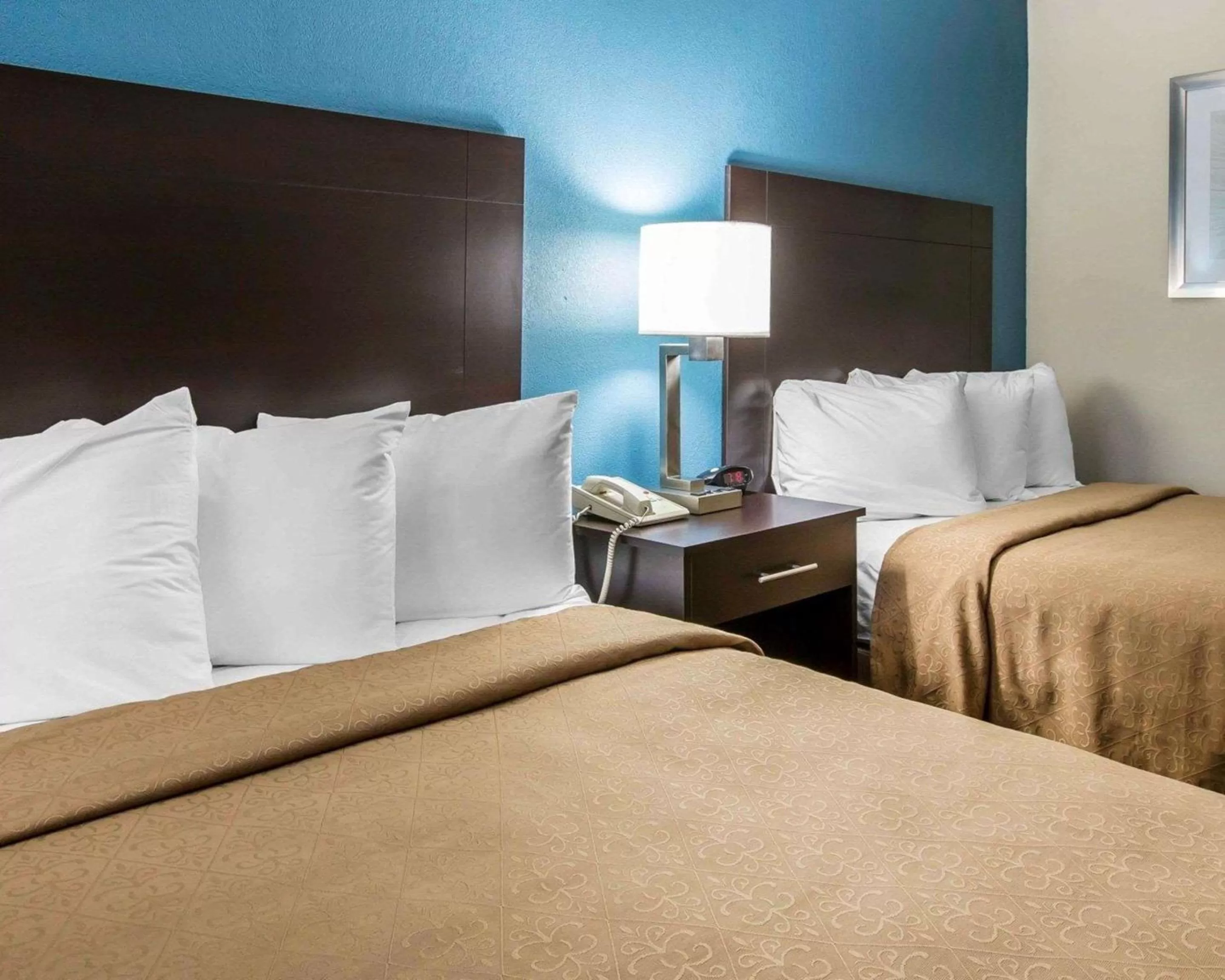 Photo of the whole room, Bed in Quality Inn Macon West