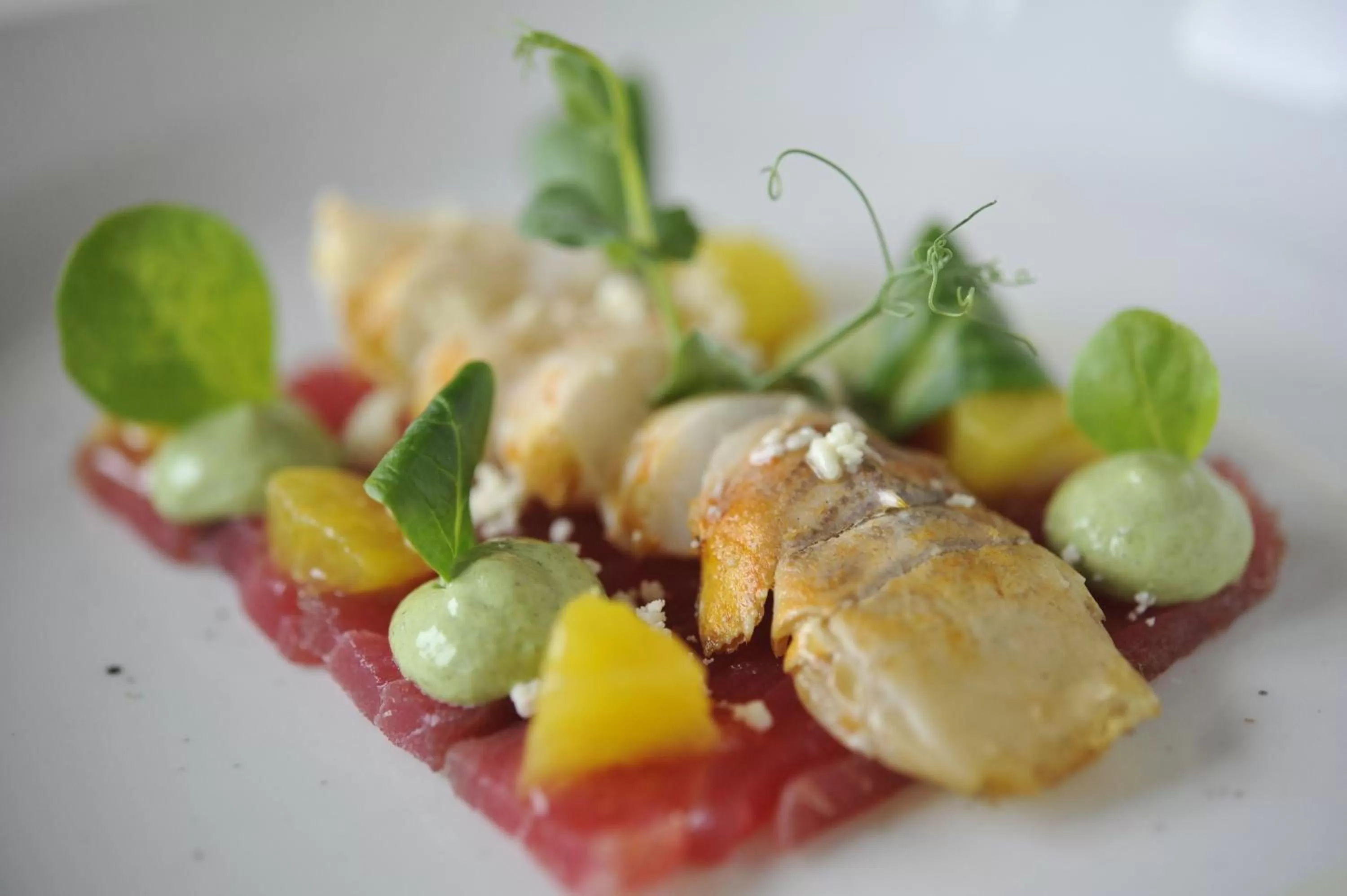 Food close-up, Food in Hotel & Restaurant Alte Rheinmühle