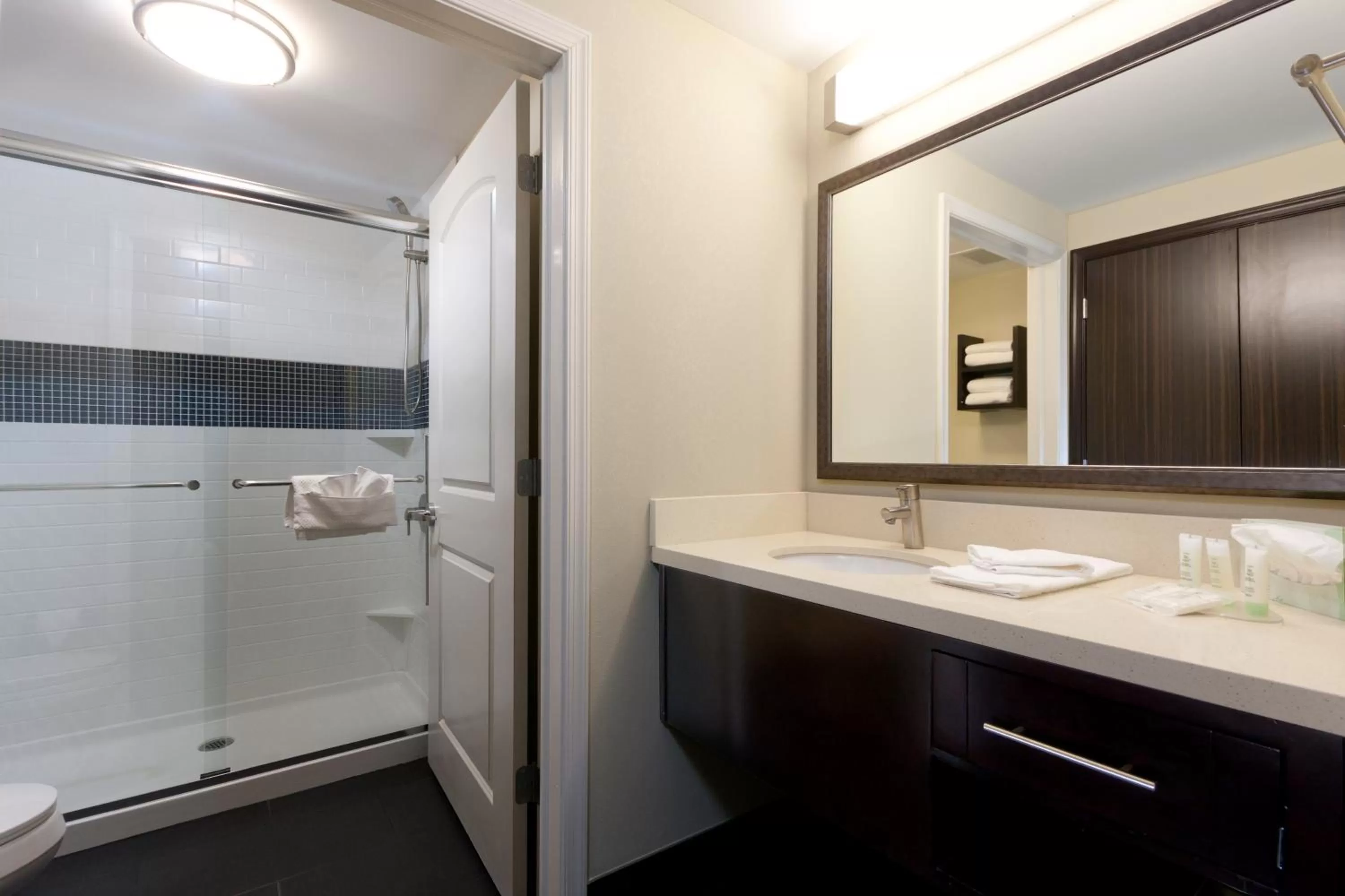 Shower in Staybridge Suites Buffalo-Amherst by IHG