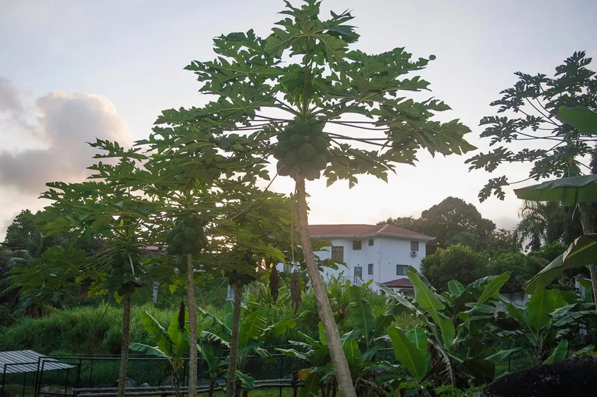 Property Building in Evergreen Apartments