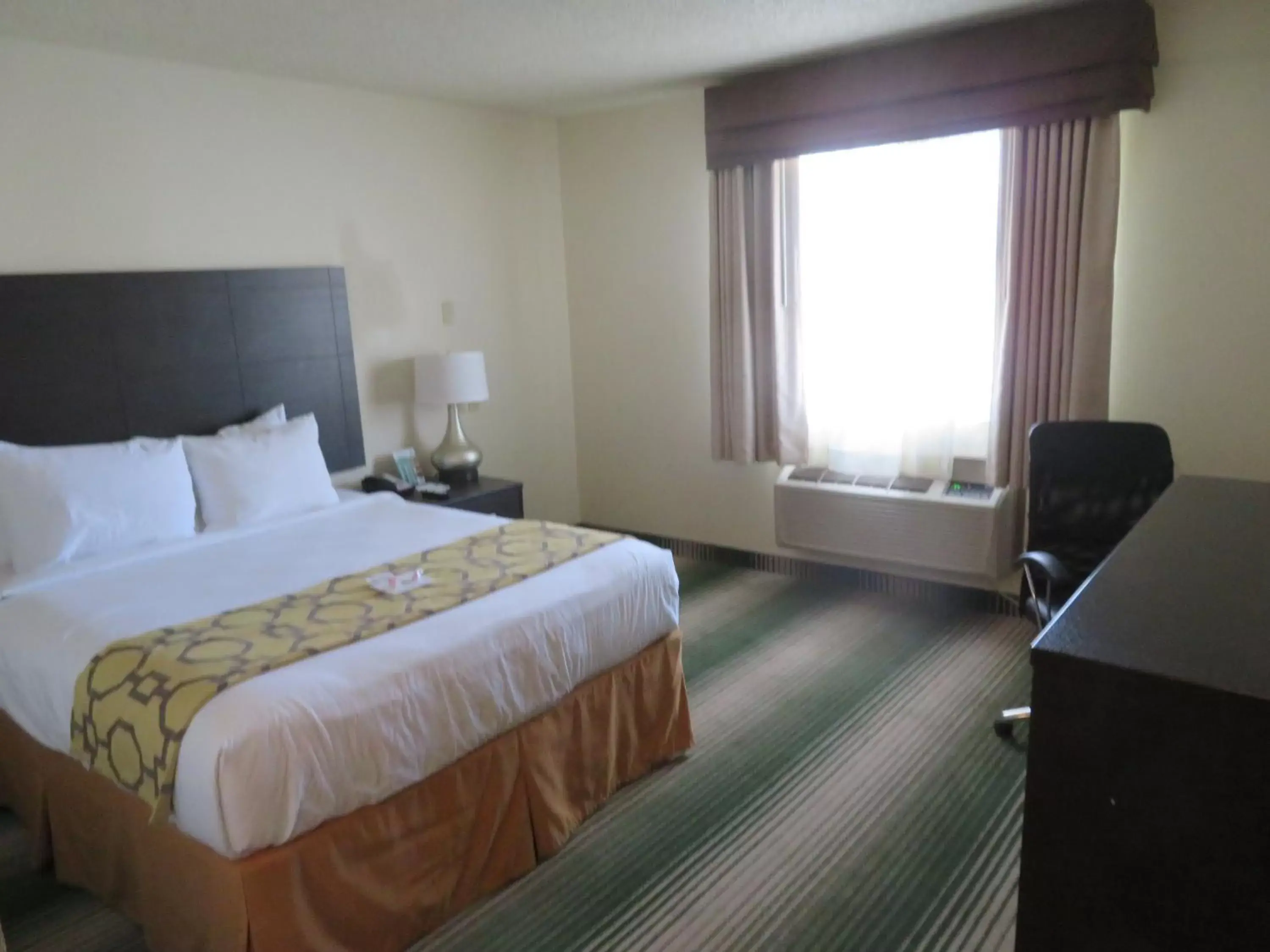 Queen Room - Disability Access in GreenTree Inn Montrose Queen Room - Disability Access in GreenTree Inn Montrose