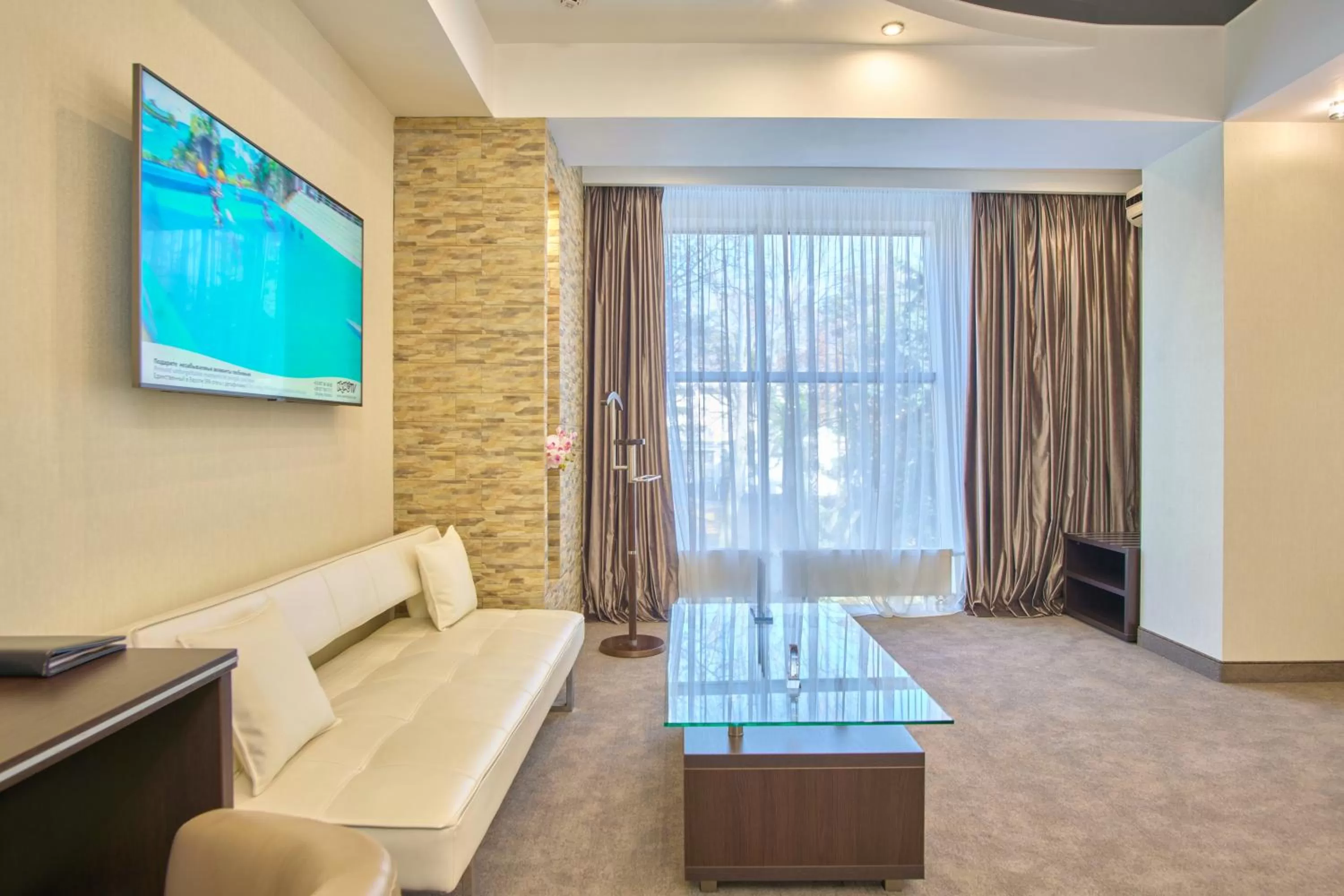 View (from property/room), TV/Entertainment Center in Hotel & Spa NEMO with dolphins