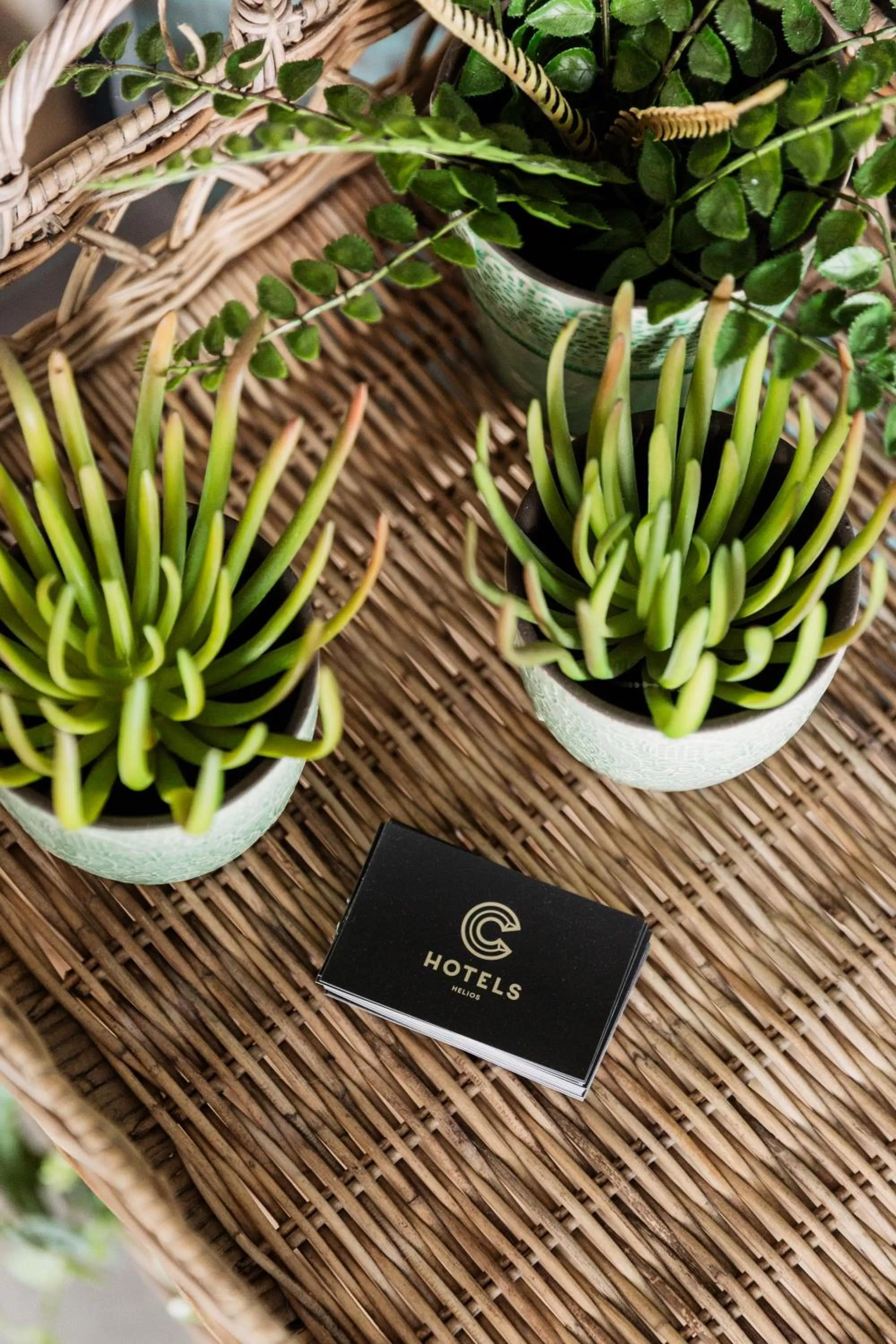 Decorative detail in Beach Hotel Helios by CW Hotel Collection