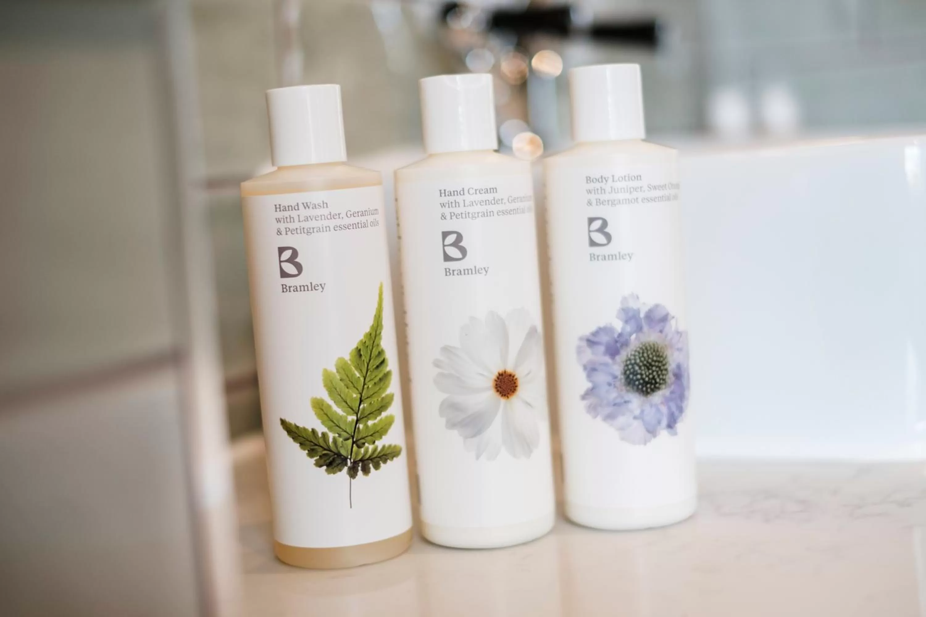 Bathroom in Bear Of Burton