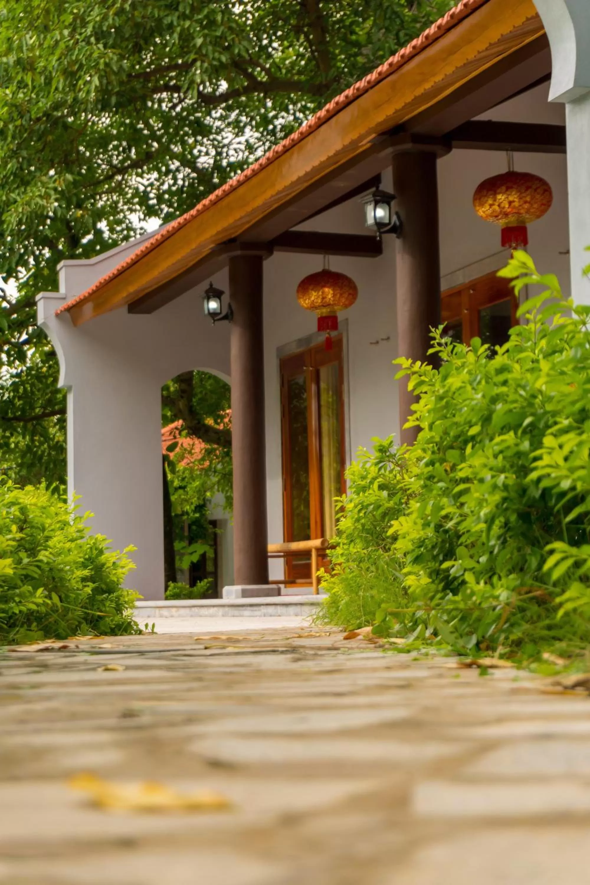 Natural landscape in Mua Caves Ecolodge (Hang Mua)