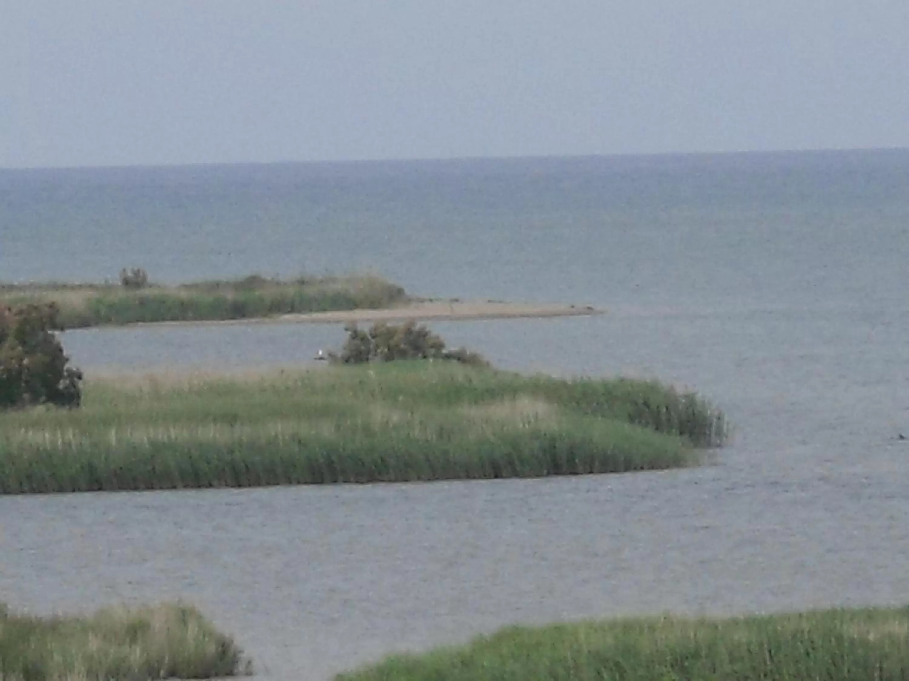 Activities in Hotel Can Batiste