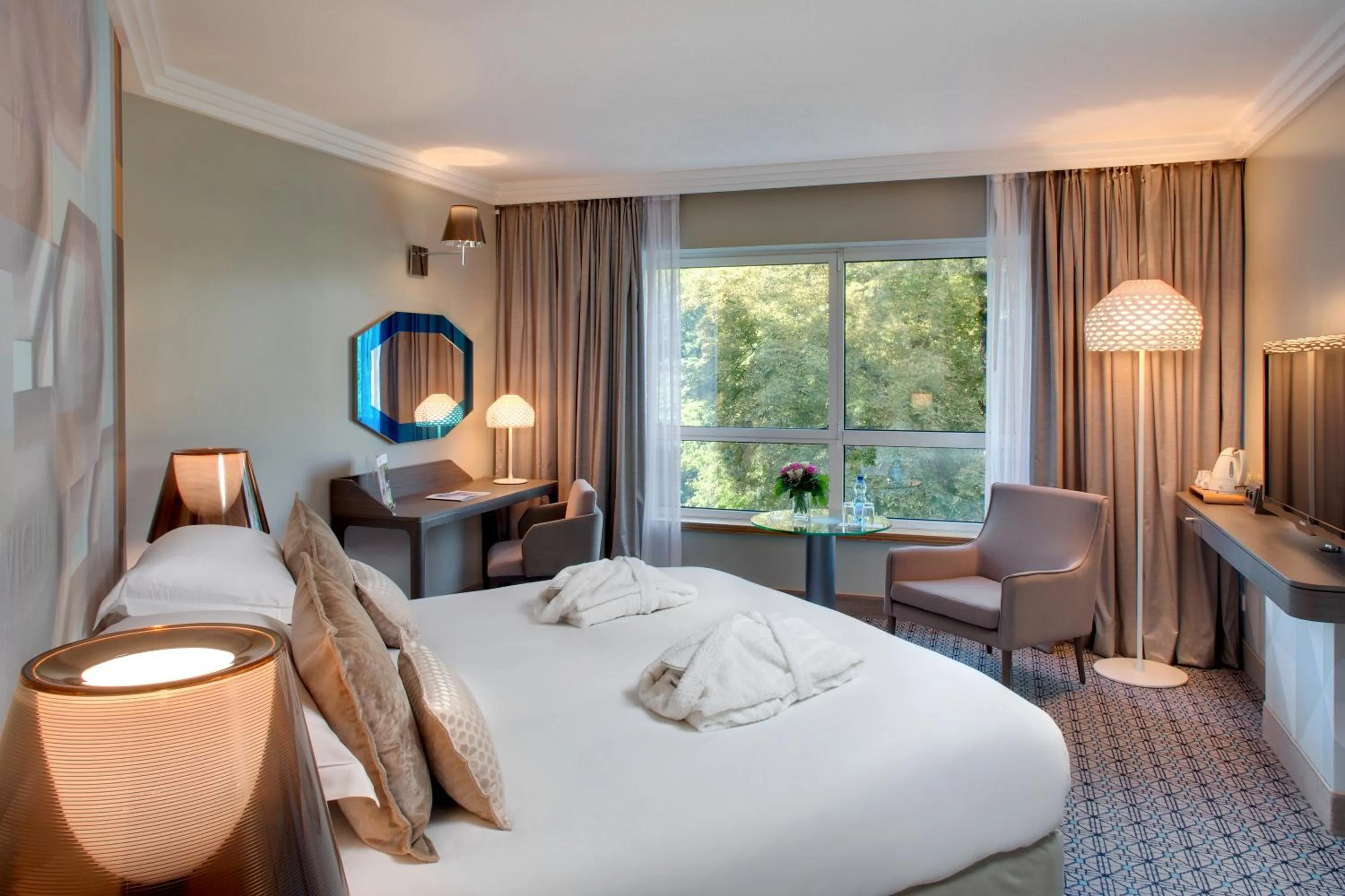 Deluxe Double Room with Park View in Vichy Spa Hotel Les Celestins