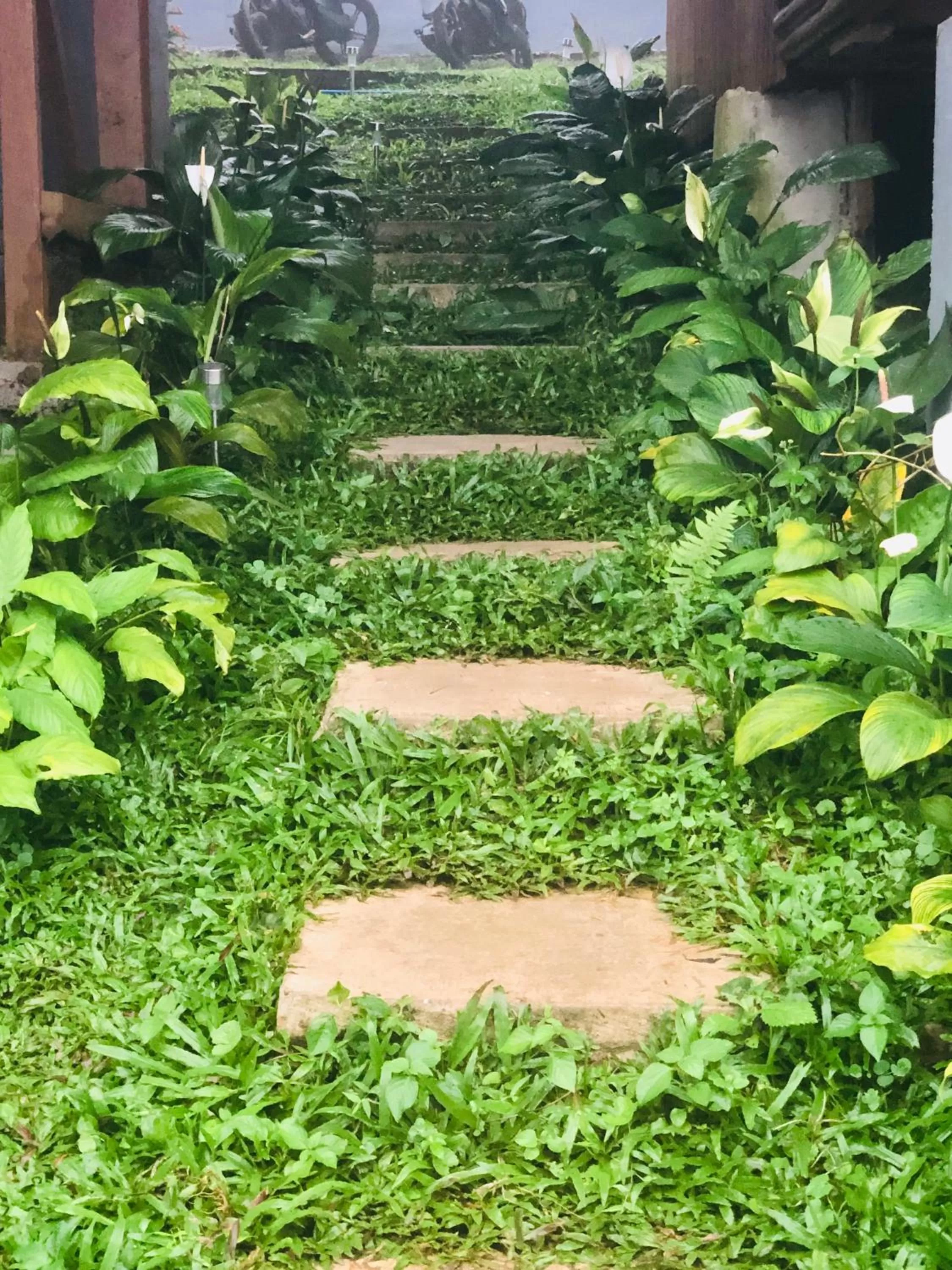 Natural landscape, Garden in Bintana sa Paraiso Binunsaran