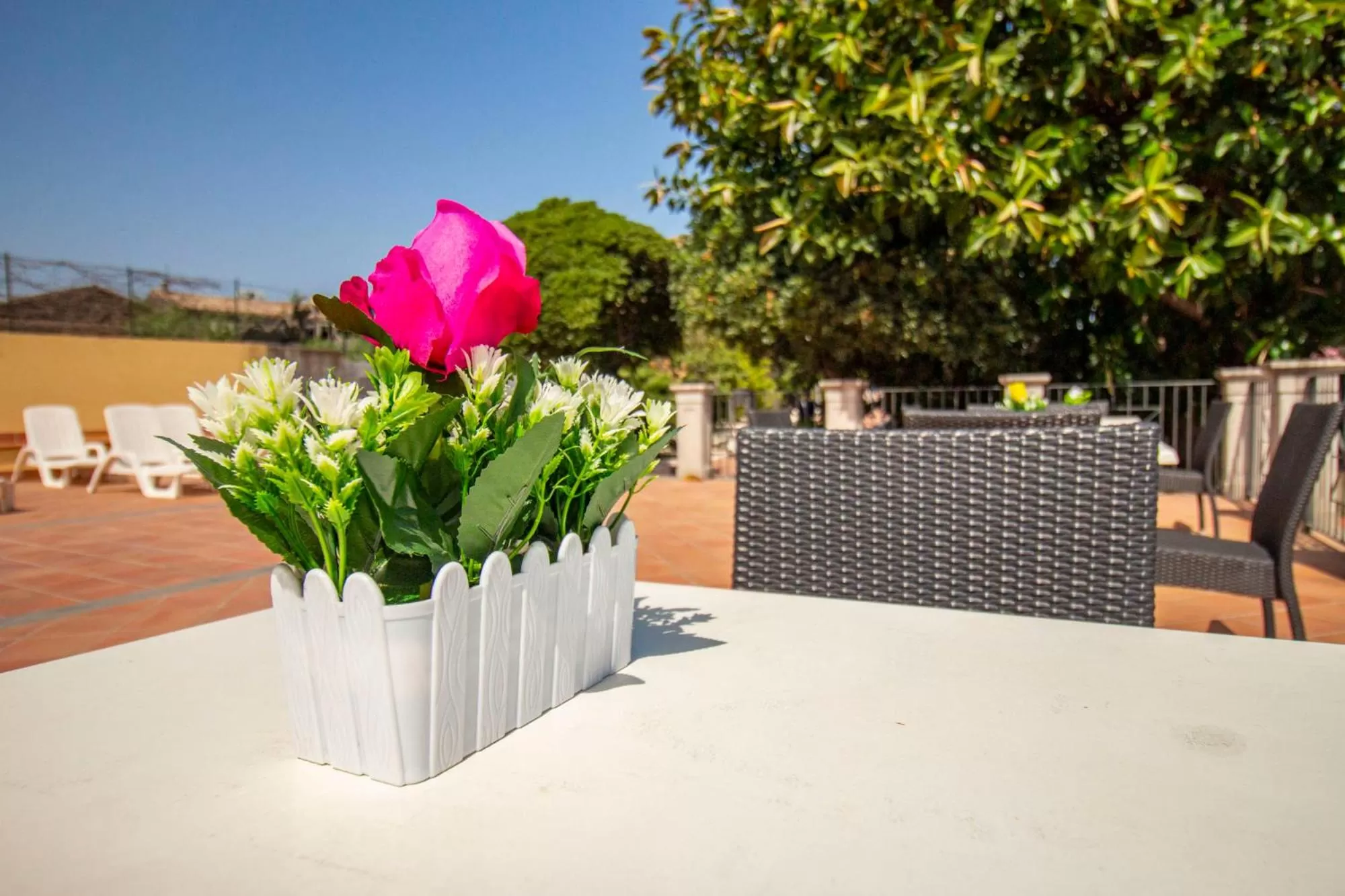 Royal Playa Suite and Apartament -private parking- self chek out