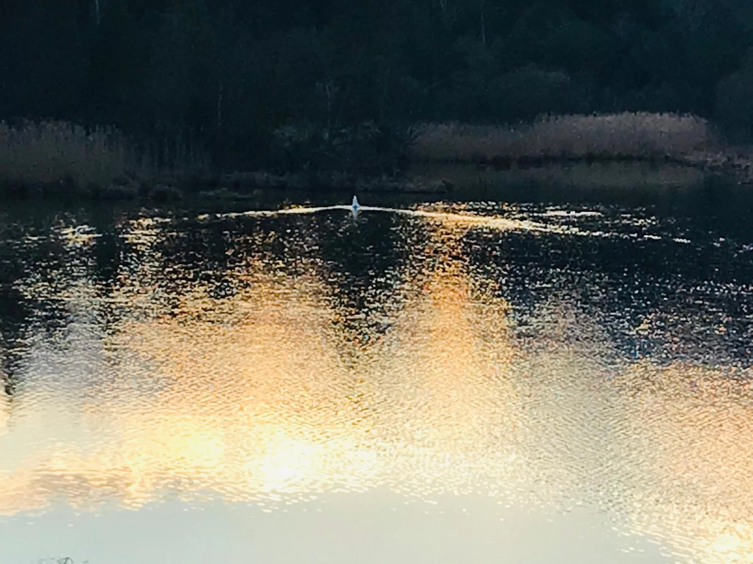 Natural landscape in Bed and Breakfast Bavaria München