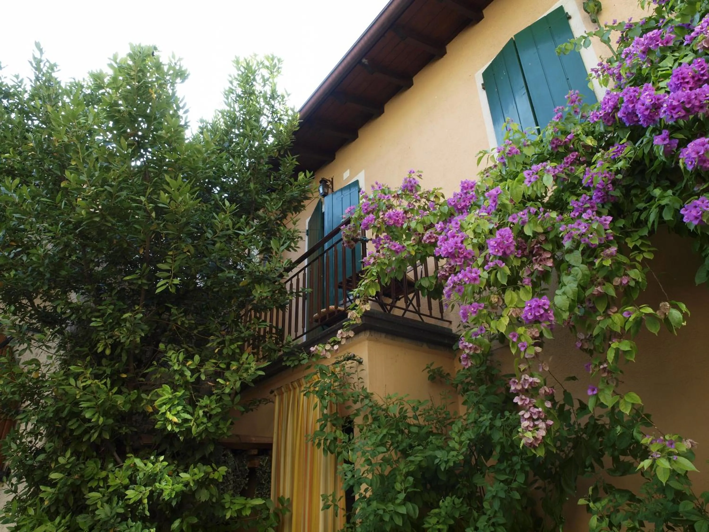 Property building in Hotel San Filis