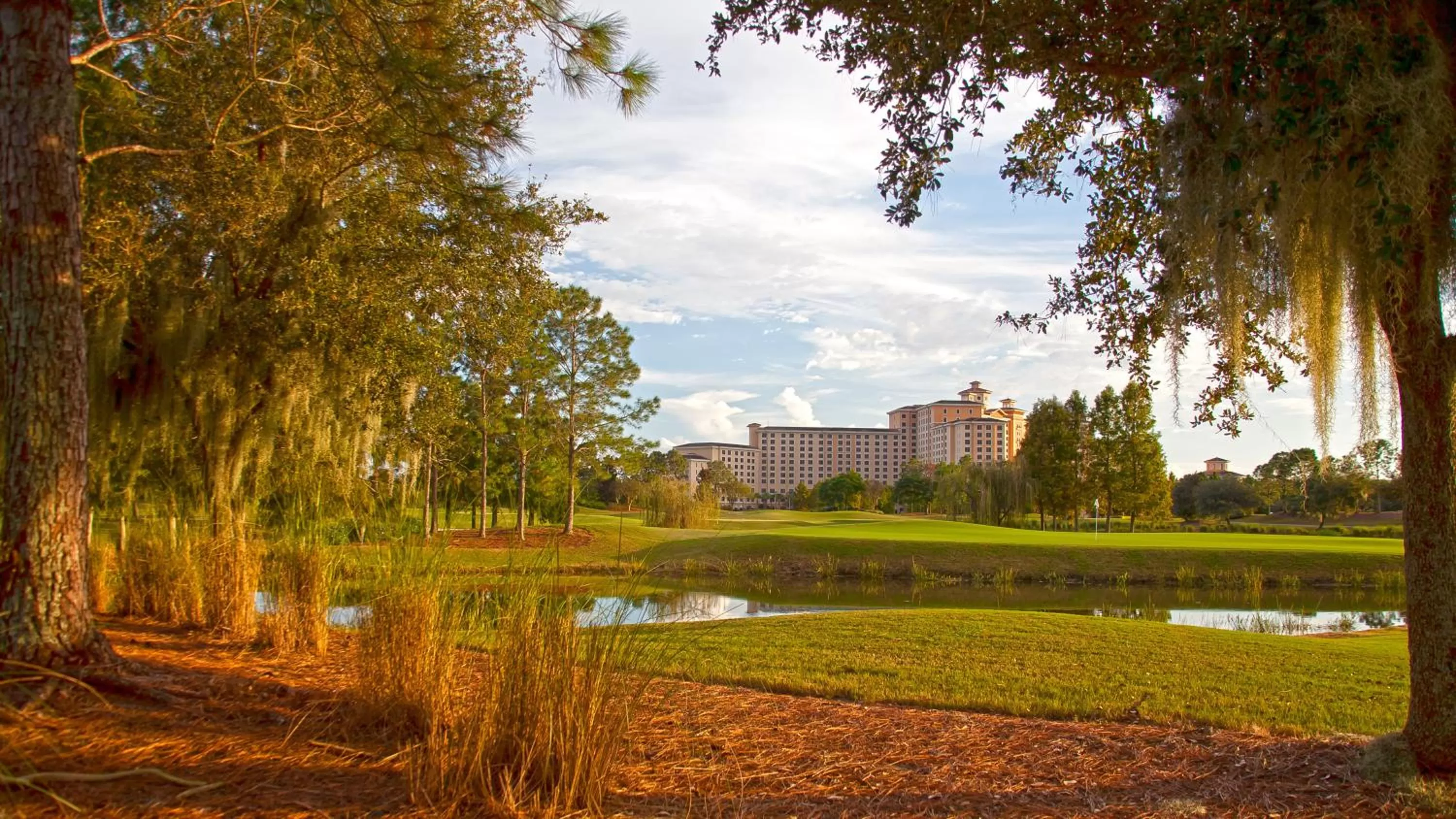Property building in Rosen Shingle Creek Universal Blvd