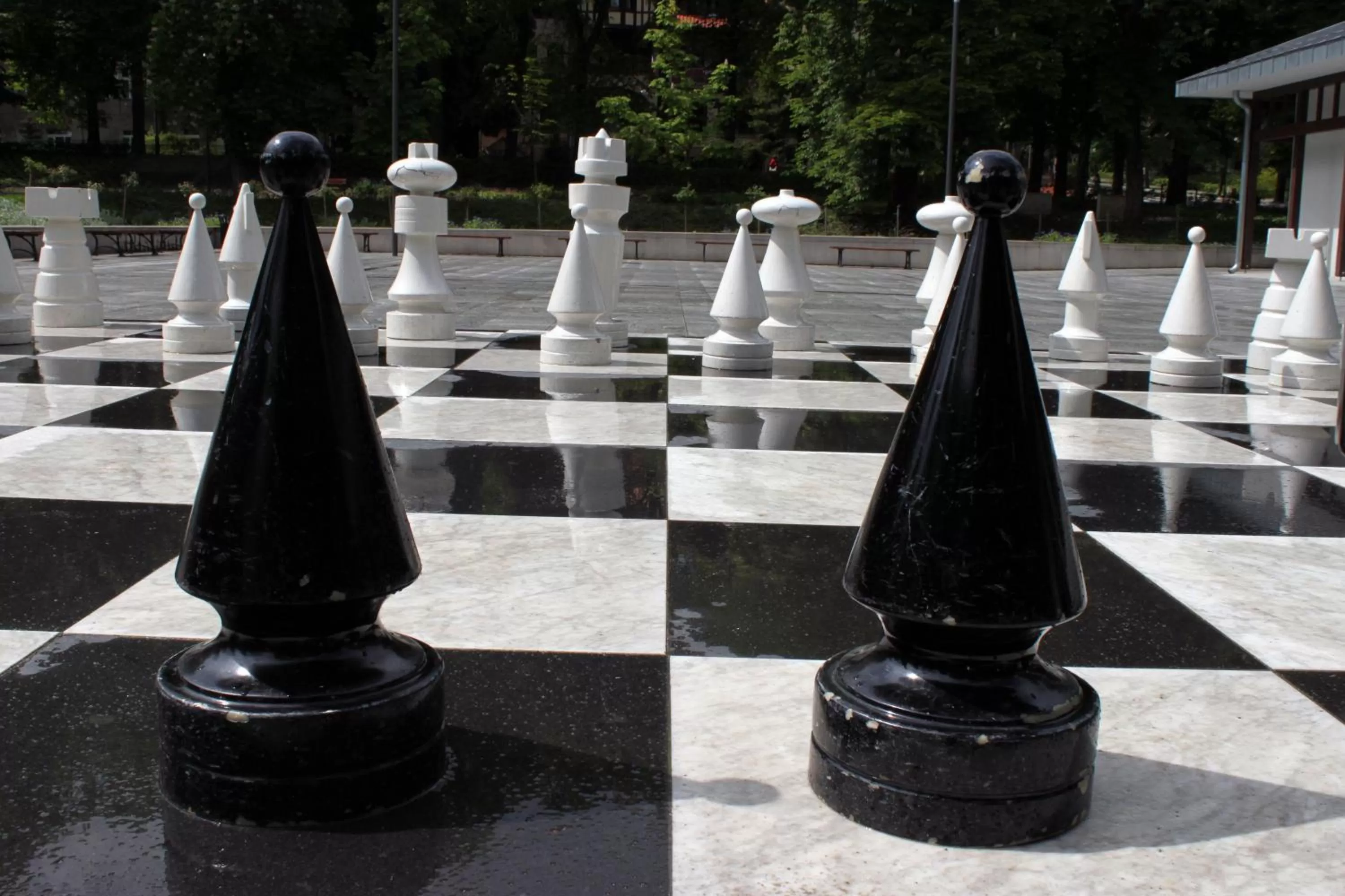 Area and facilities in Hotel Europa