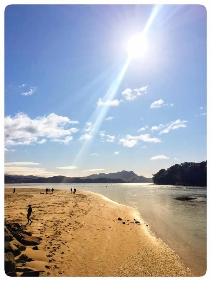 Beach in Albert Number 6