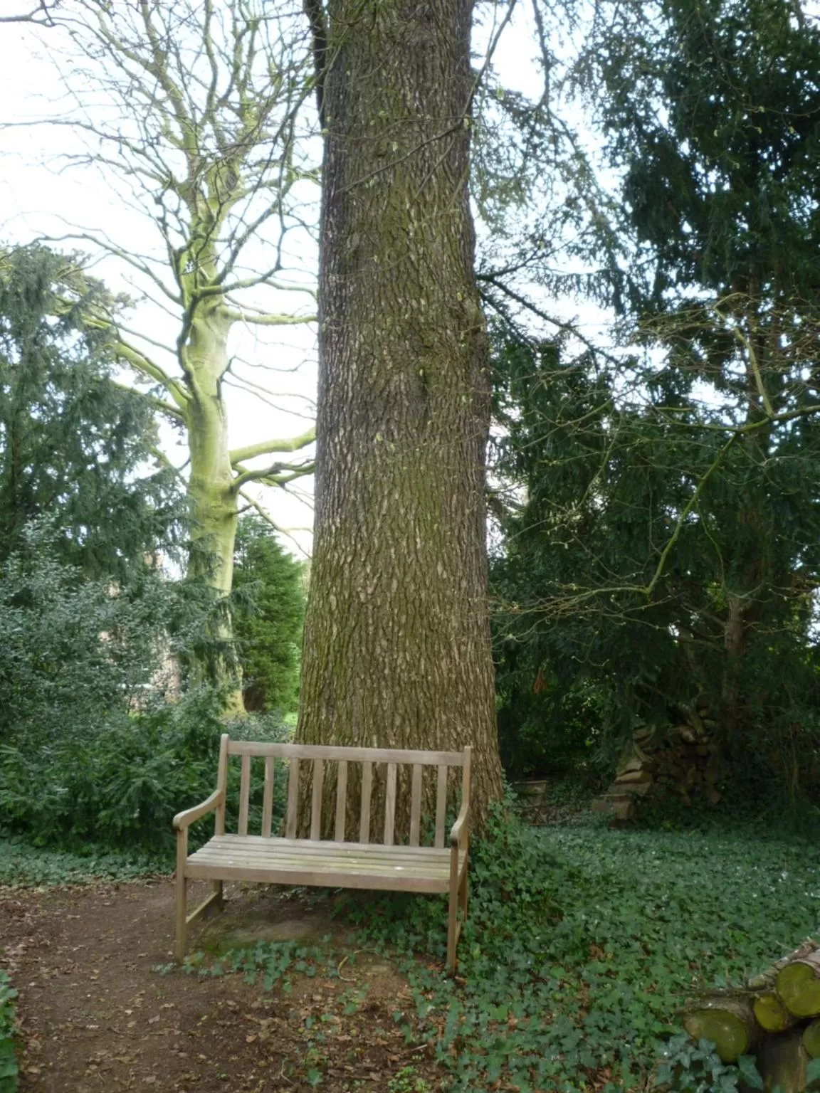 Garden in au vieux cèdre
