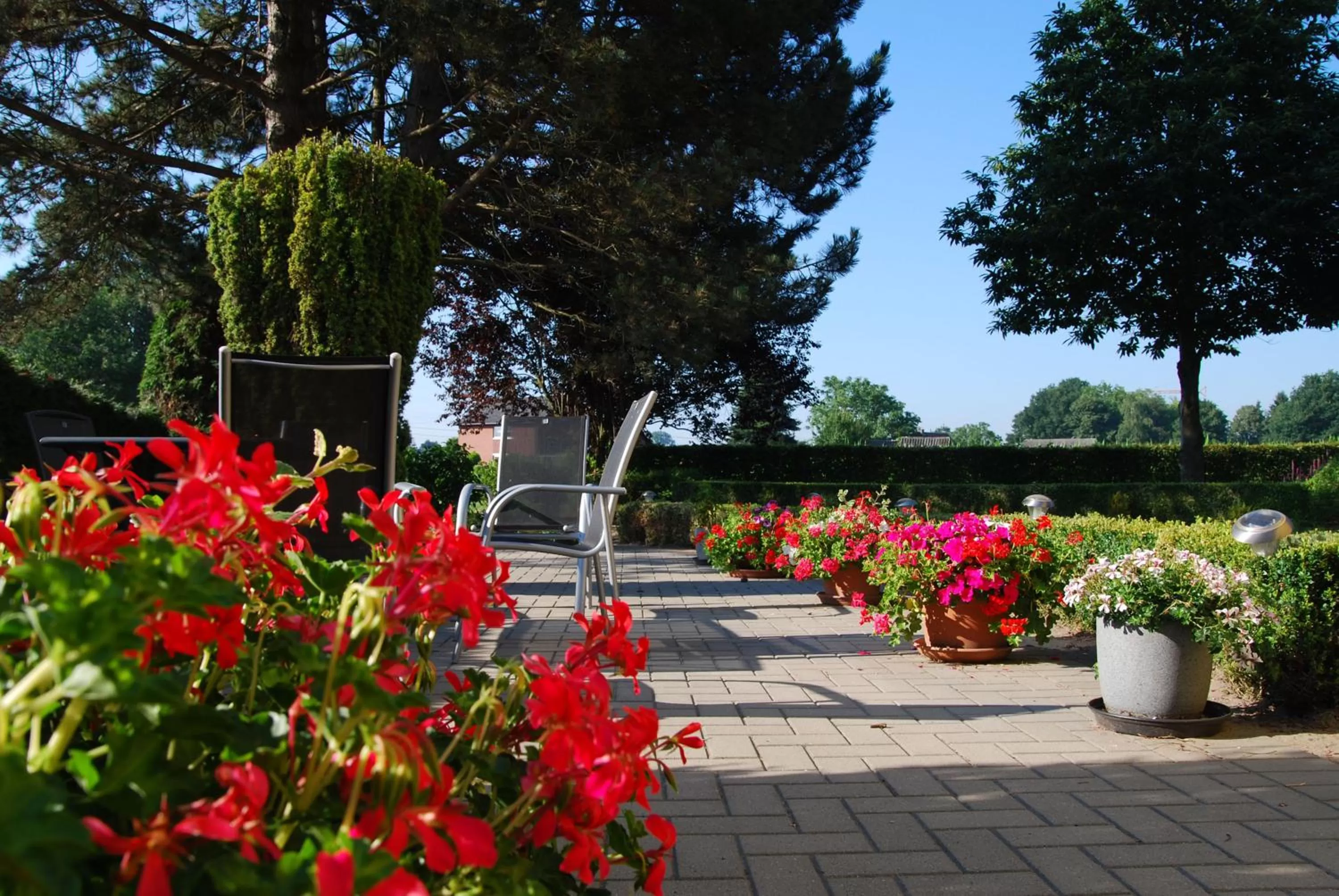 Property building, Garden in B&B Het Uilennest