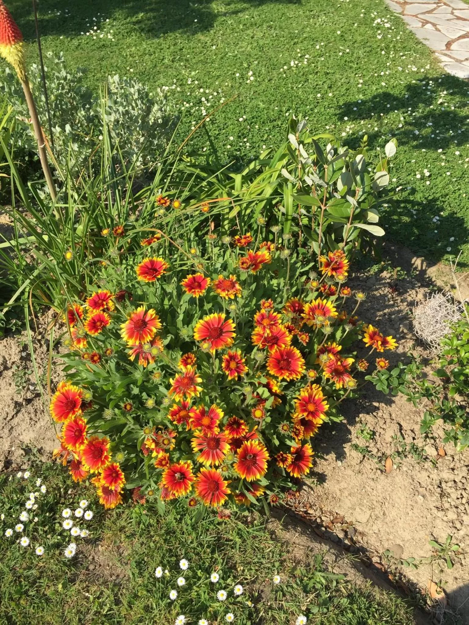 Garden view in A La Birochère Chambre d hôtes classée 3 clés et Accueil Vélo