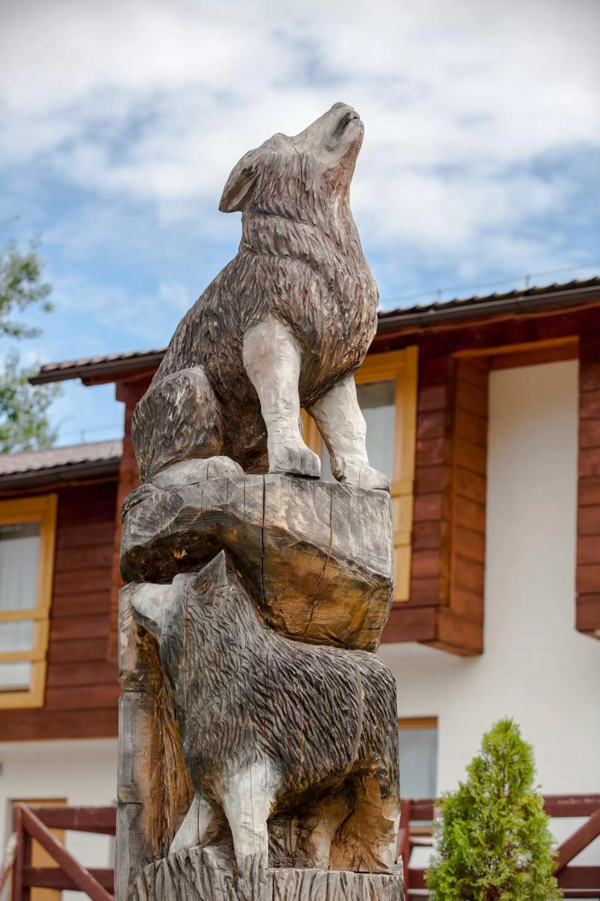 Winter in SKI CIERNY BALOG