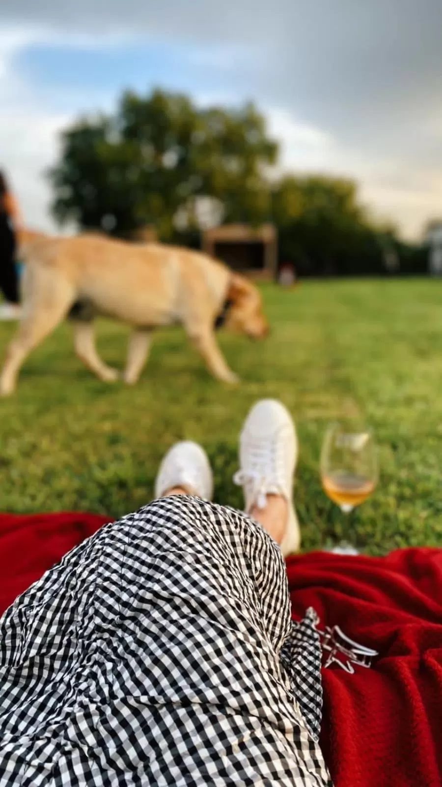 Property building in Chubini Winery & Cabins