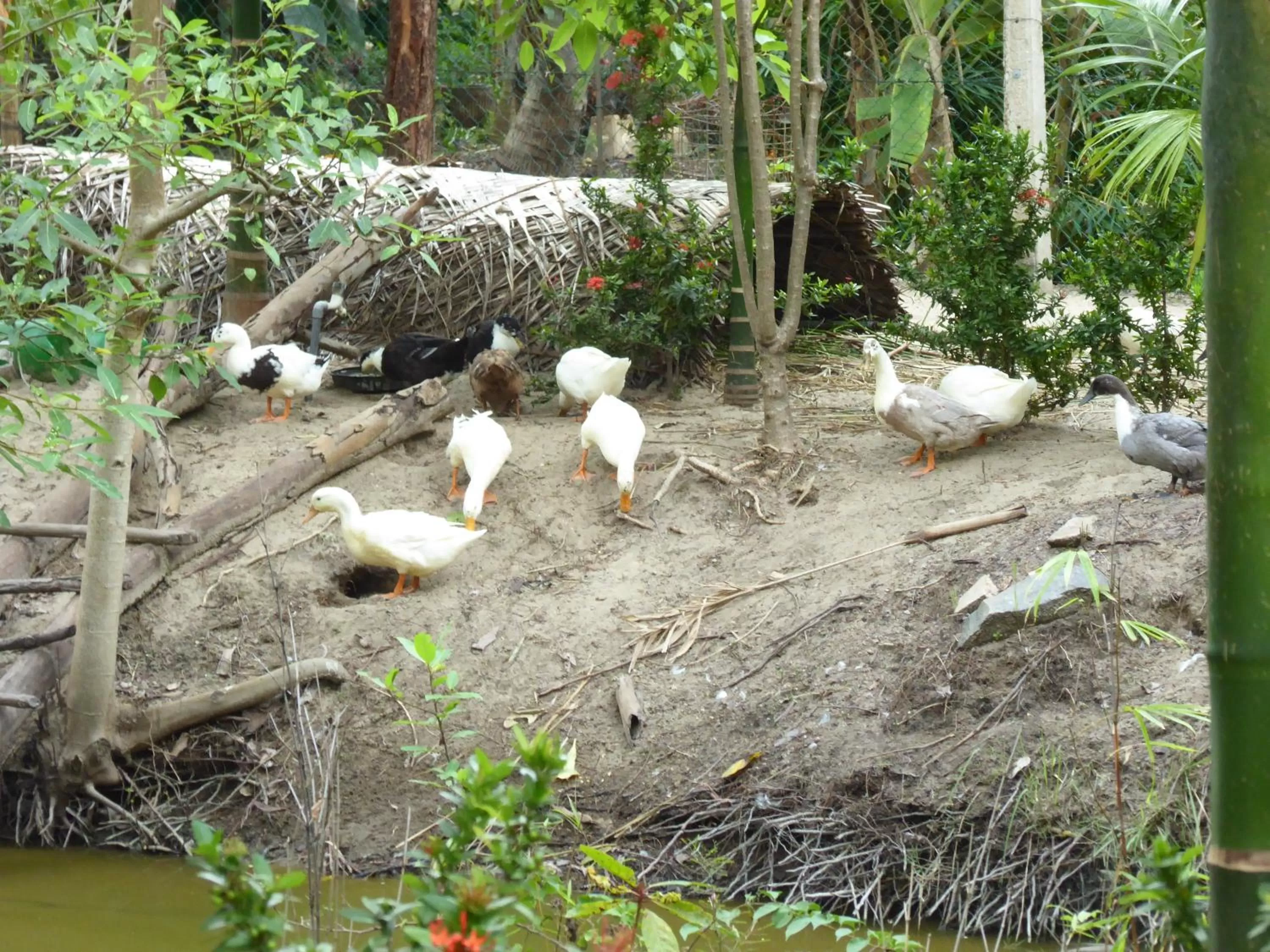 Property building in Riviera Resort