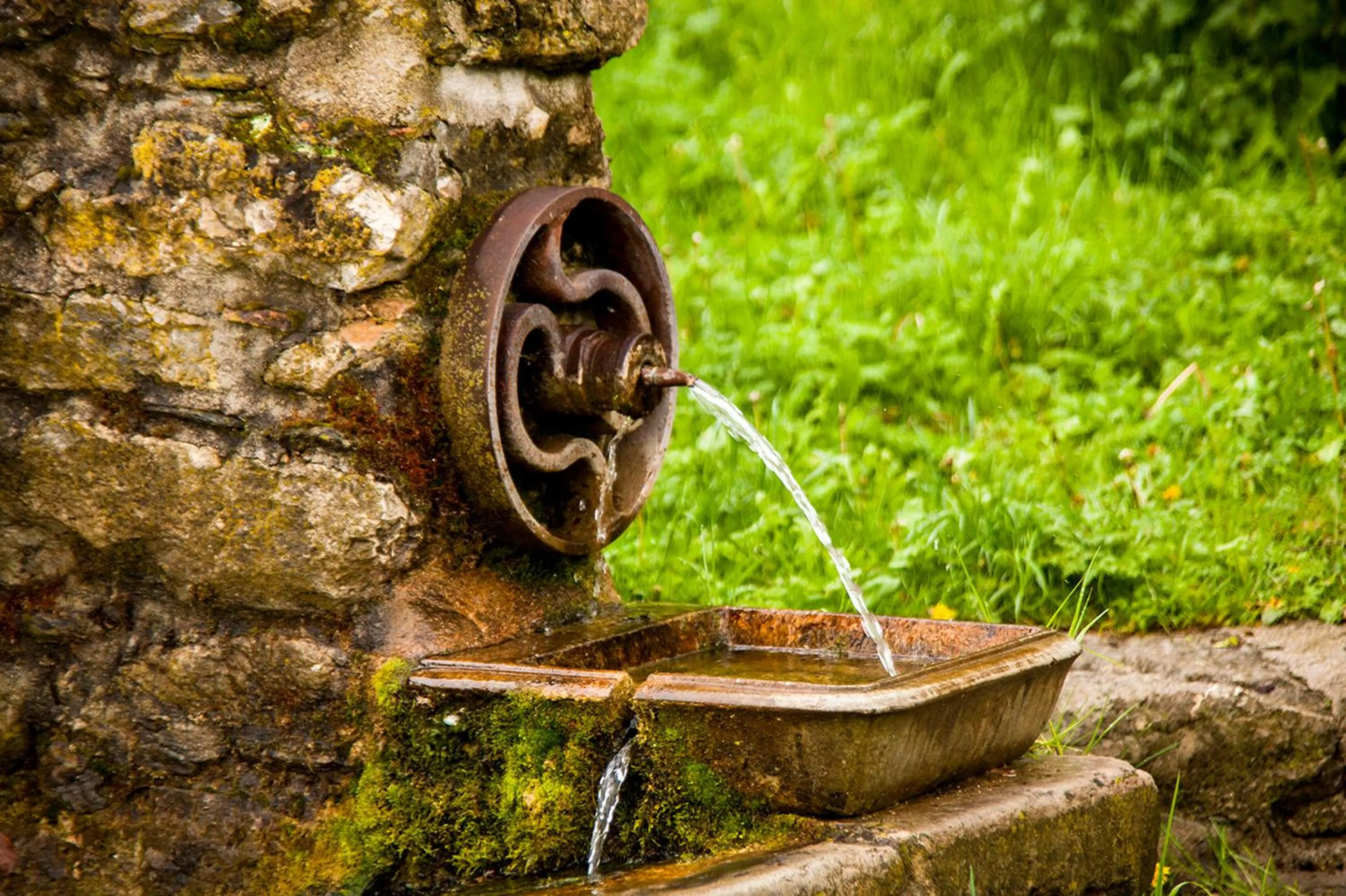 Decorative detail in Hotel Mas de Xaxas