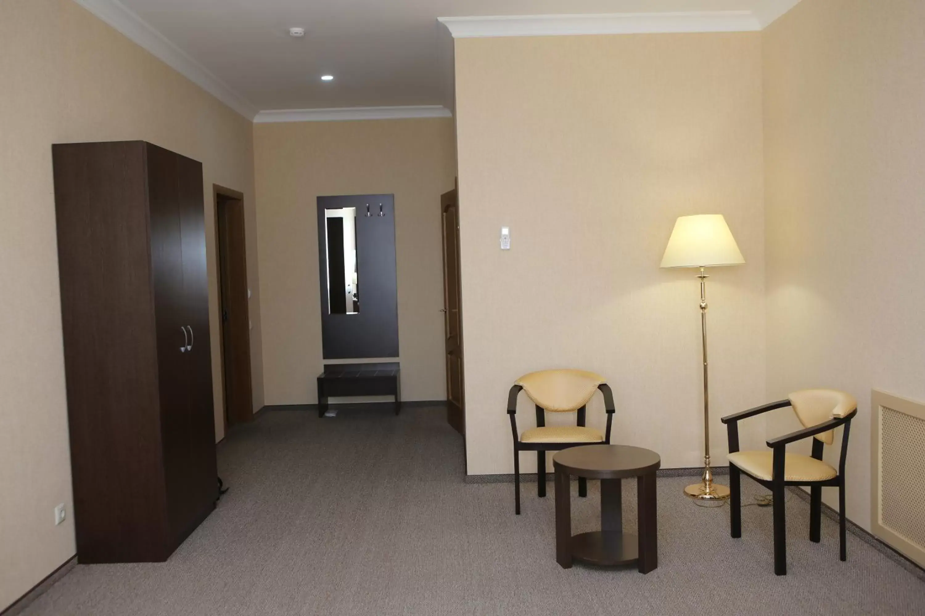 Deluxe Double Room - single occupancy in Hotel Aner Deluxe Double Room - single occupancy in Hotel Aner