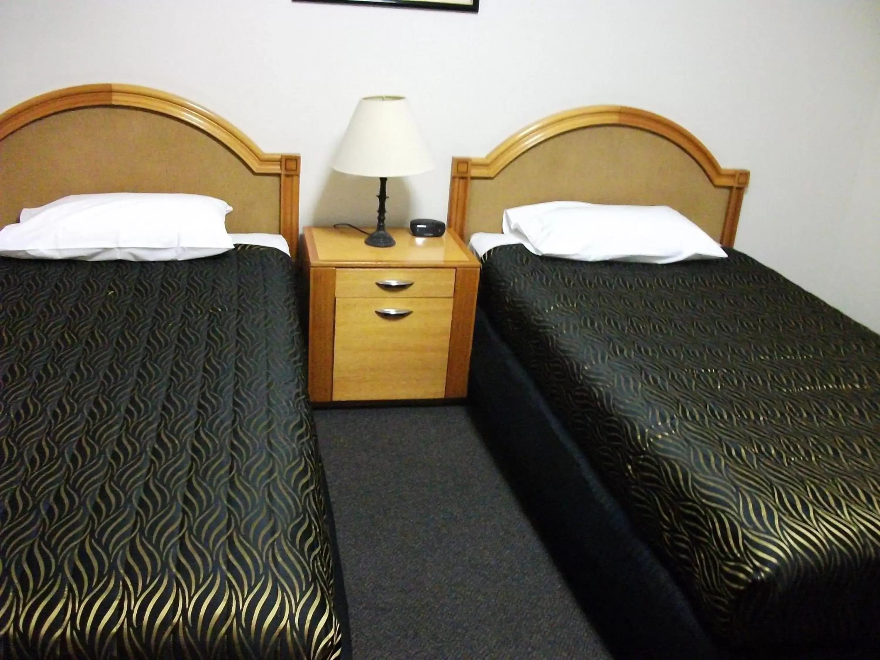 Twin Room in City Park Motel and Apartments Twin Room in City Park Motel and Apartments